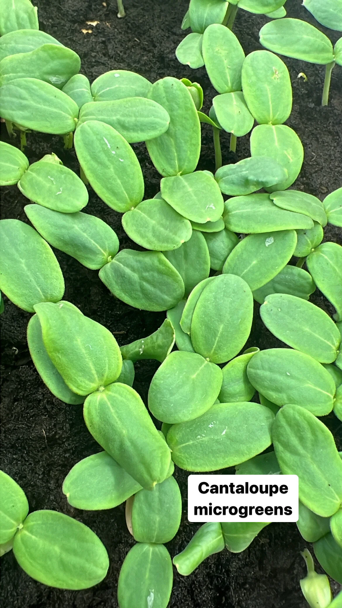 A827F591-C8C4-4C95-8712-9EB791A204CD