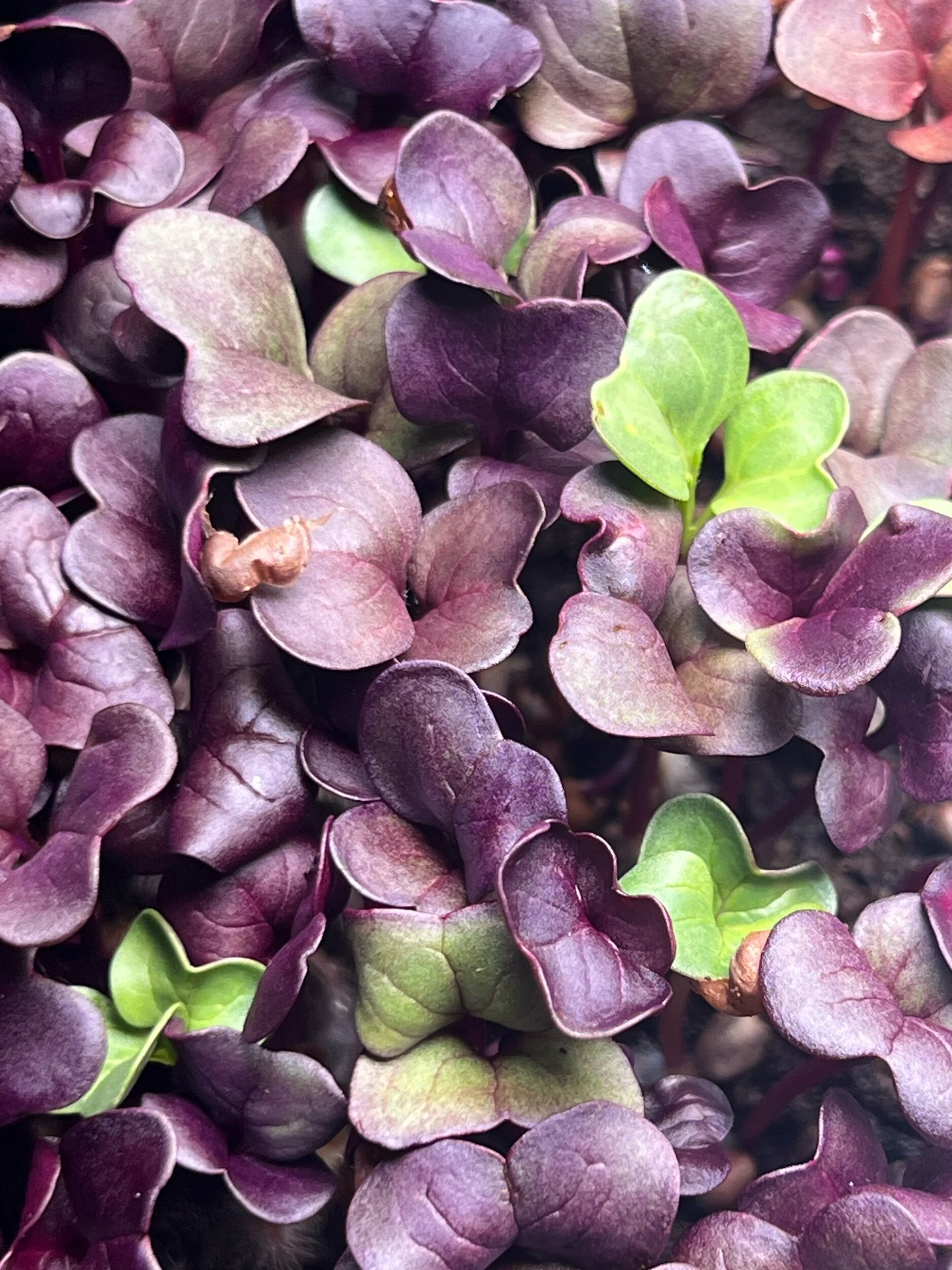 E184E64A-3623-4961-92C7-724567DC999B