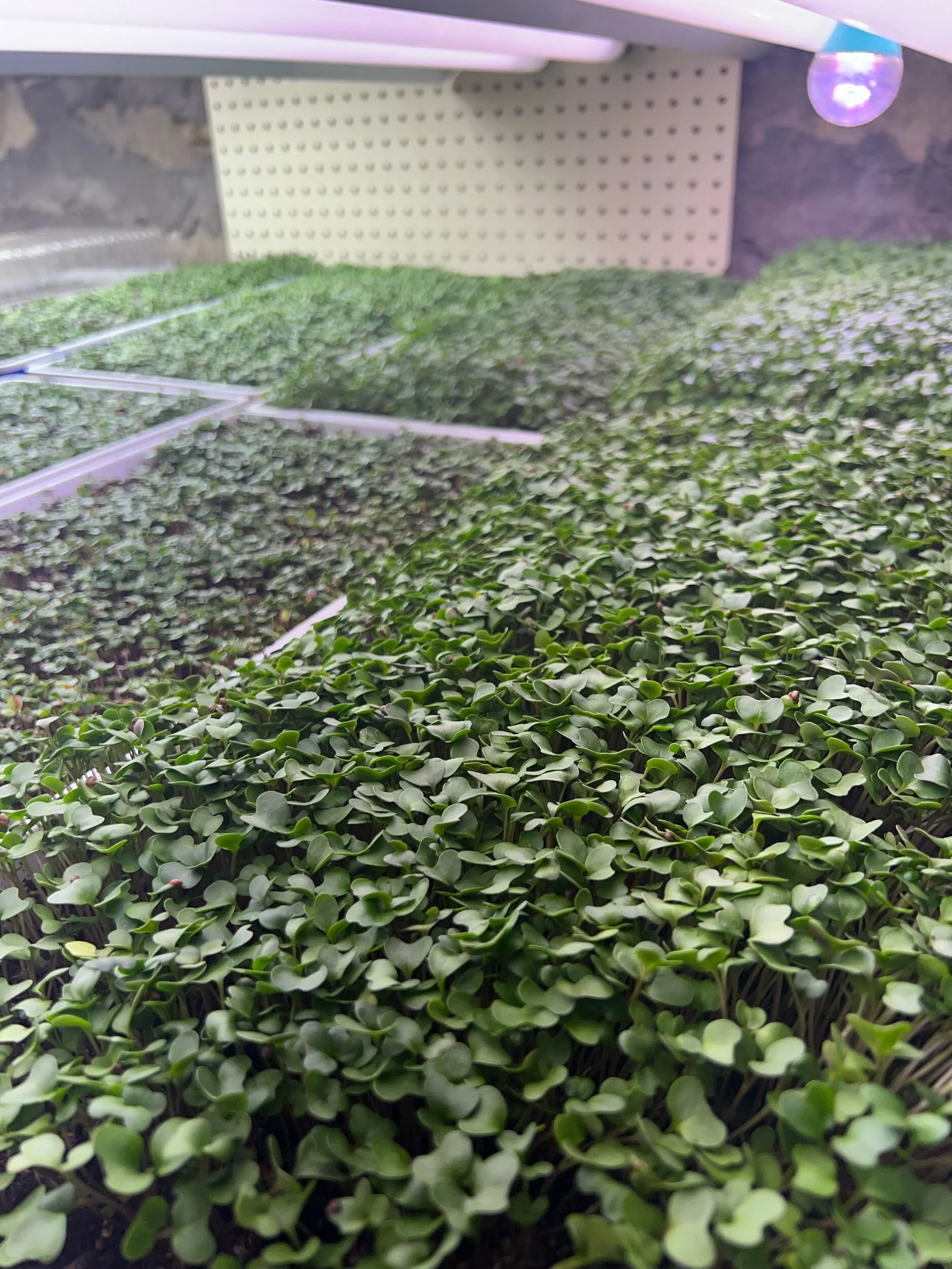 5388509B-FF41-4DC4-A652-F3EC8EBA0BAF