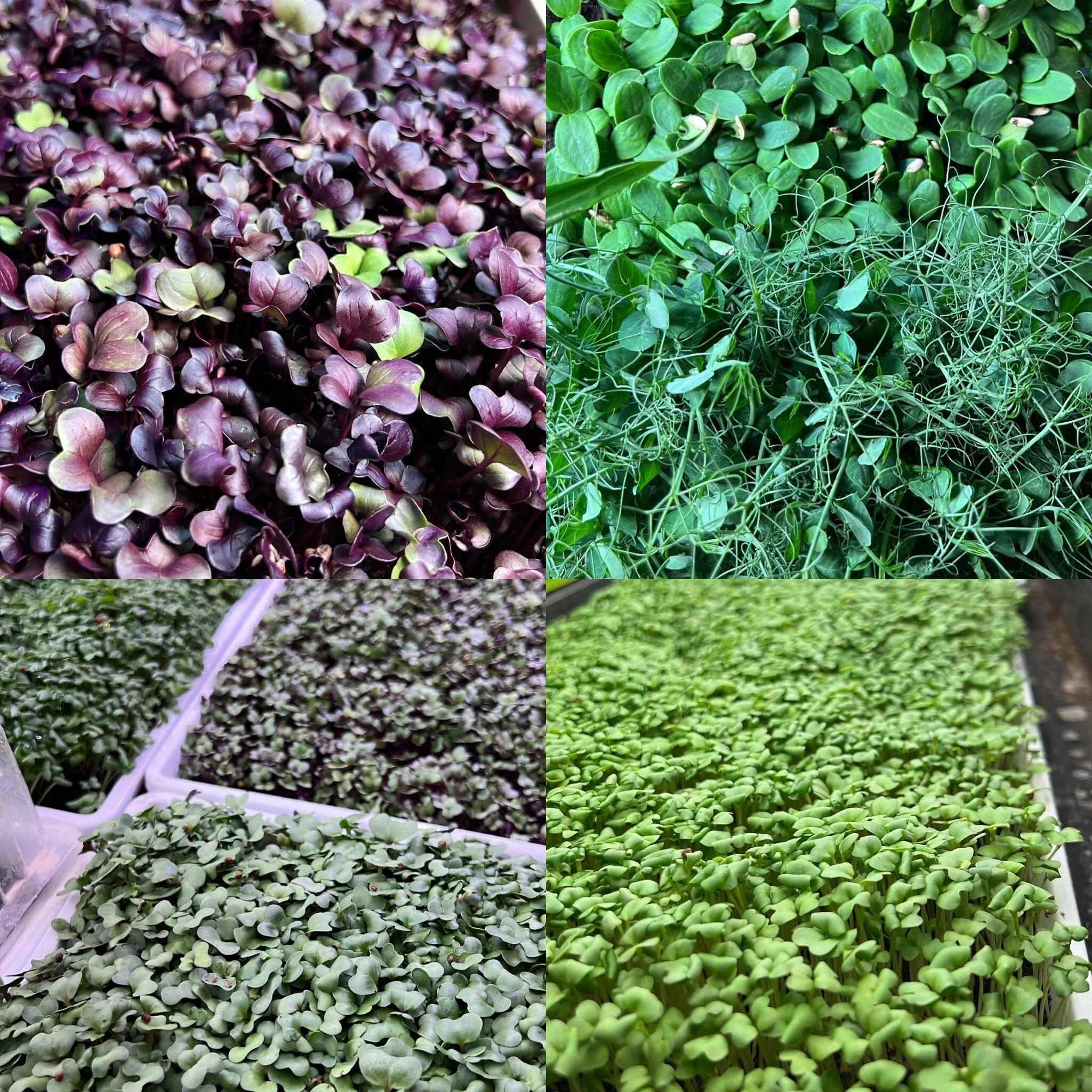 6568995F-C81A-40F7-89D7-1BA3DF17DDC9