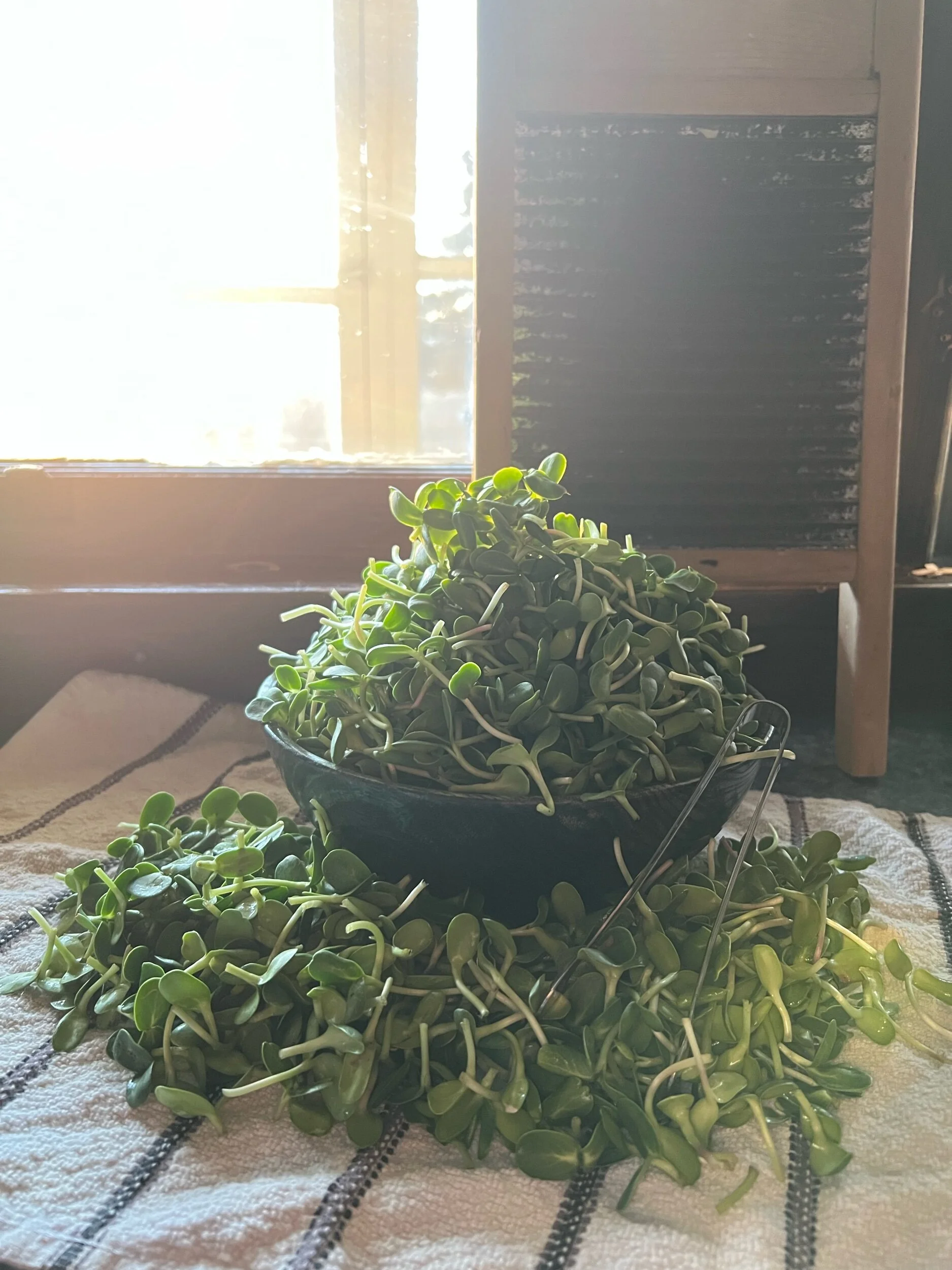 6CCE6D92-ED9E-4C41-ADDA-B6A1FDD539F6