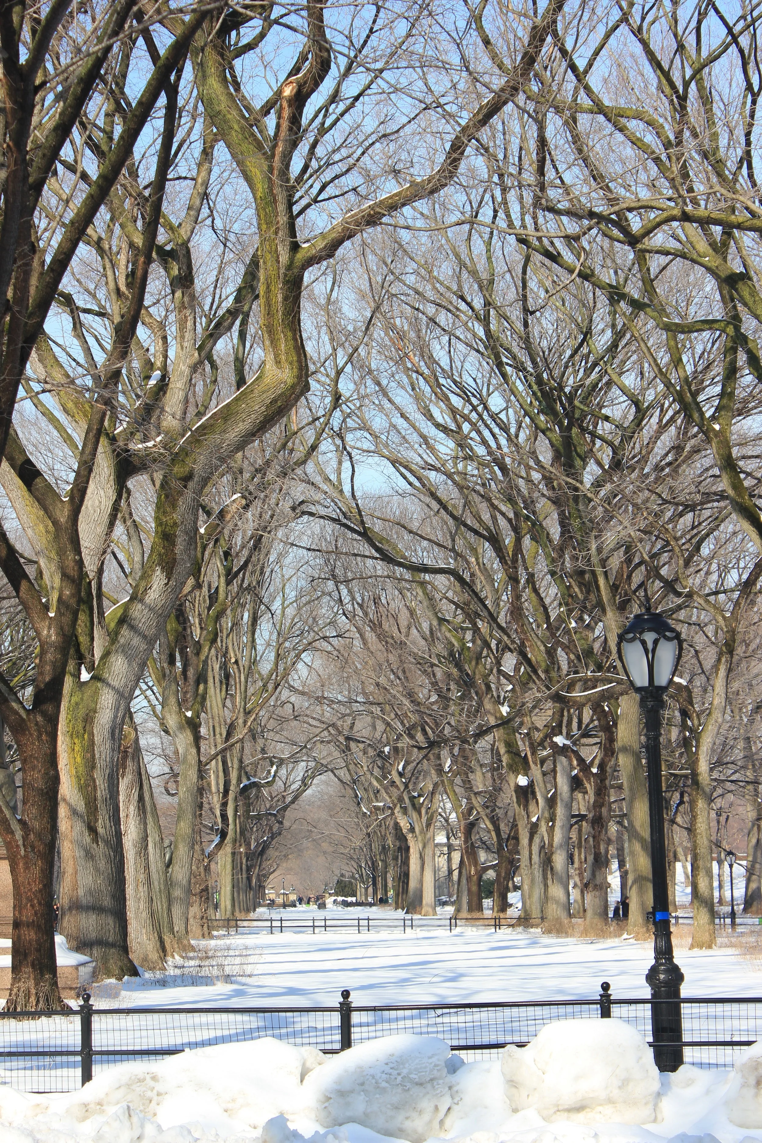 Gift Giving: As Easy as 1-2-3-4