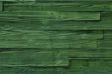 20855392-メディア-フォレスト-グリーン木製テクスチャ背景をクローズ-アップ.jpg