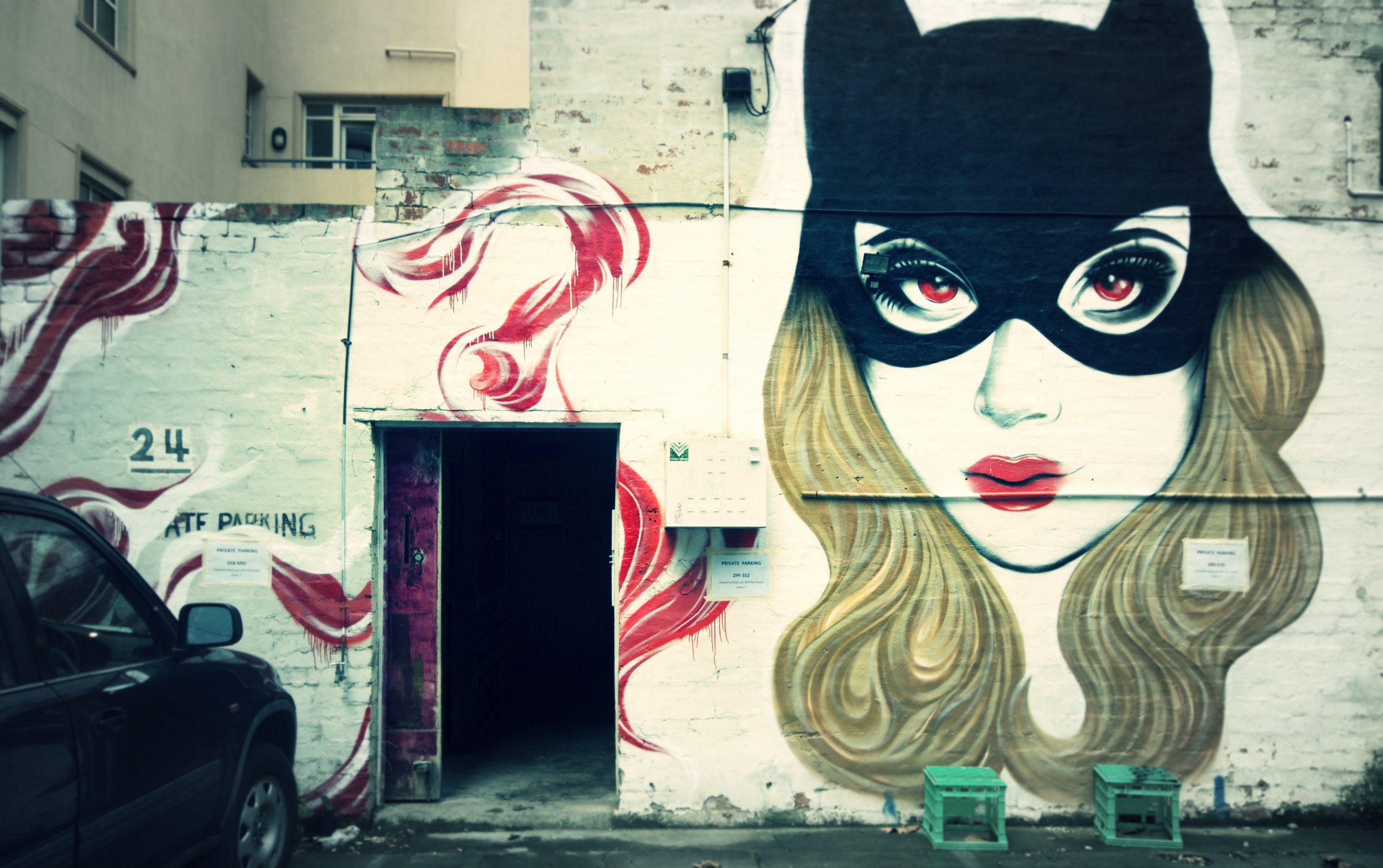 catwomanpxl.jpg
