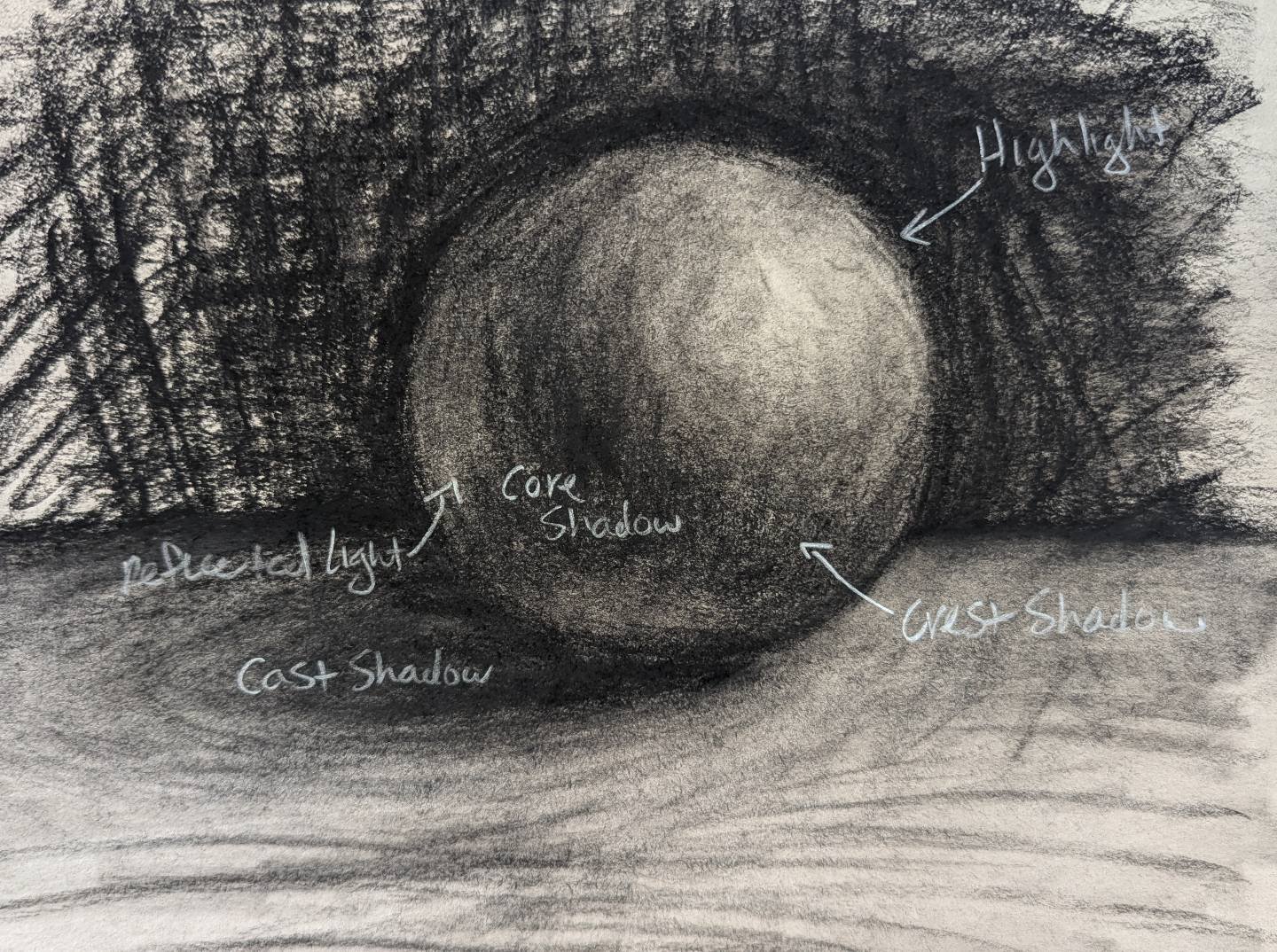 There are a thousand names and nuances for shading a sphere. But Betty Edwards postulated that you can make a drawing feel real by focusing on the highlight, crest shadow, cast shadow, and reflected light. And the more gradual your value shift betwee