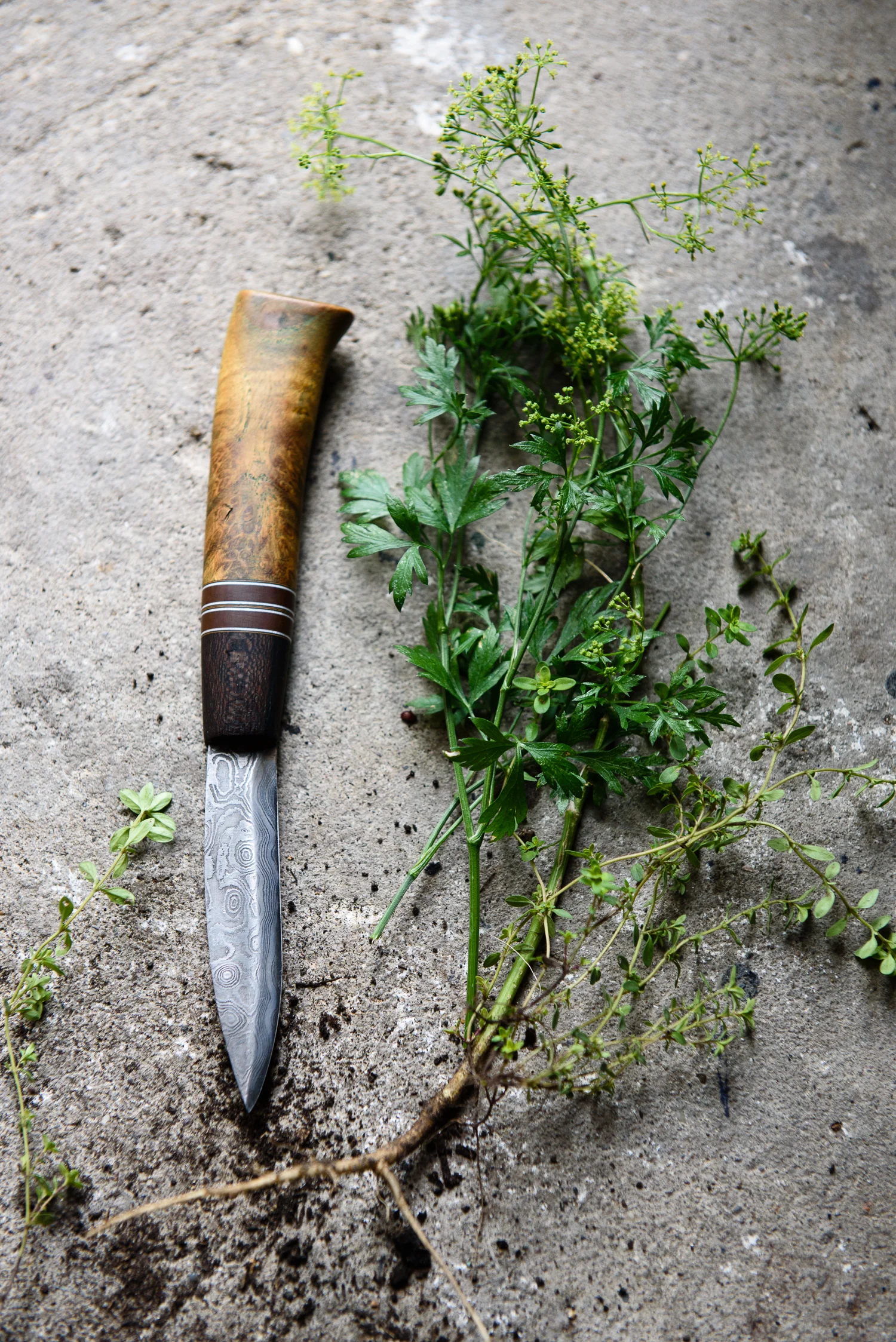 Fresh Herbs and Handcrafted Knife Food Photography
