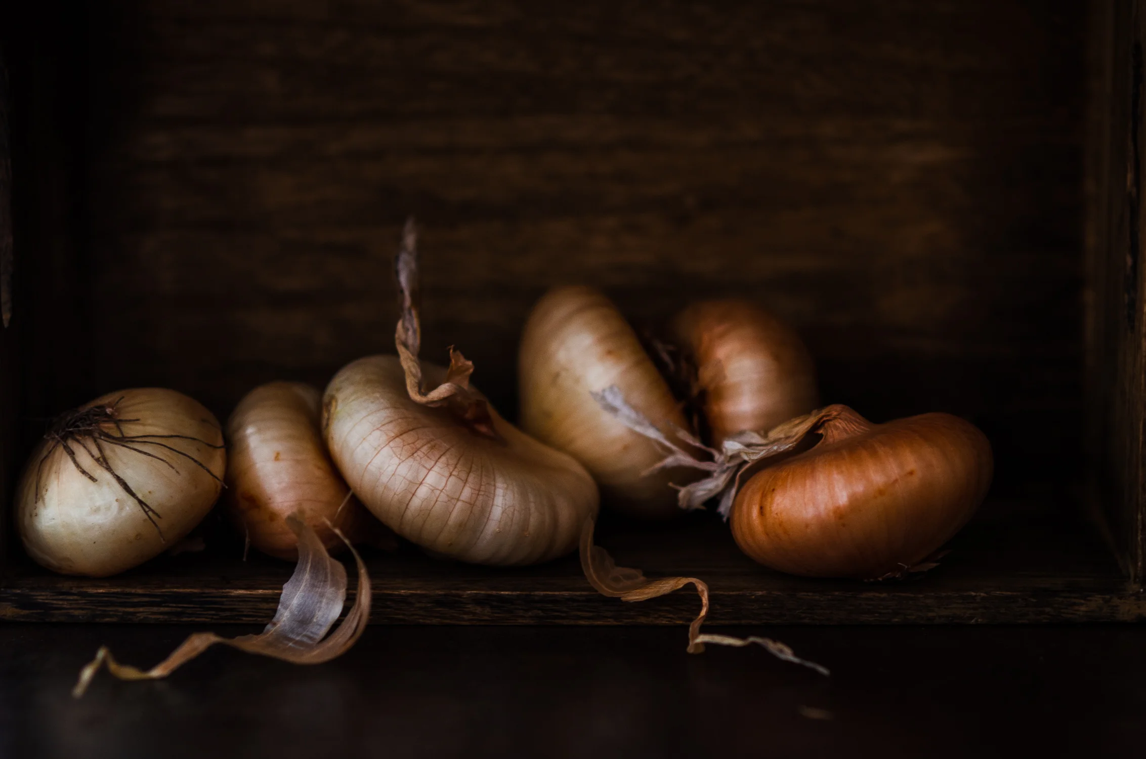 Cipollini Onions Still Life Food Photography