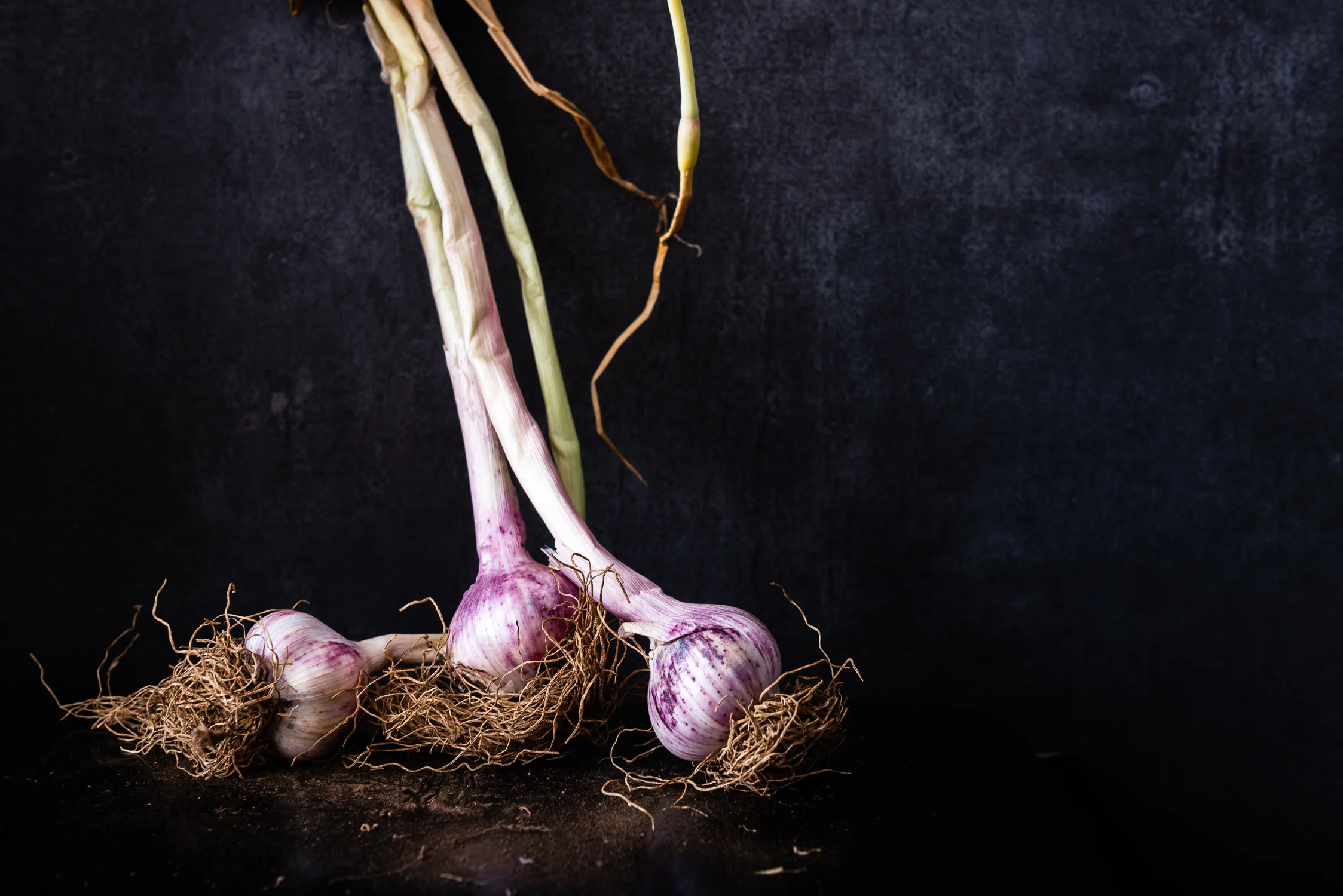 Fresh Garlic Bulbs Still Life Food Photography Sydney