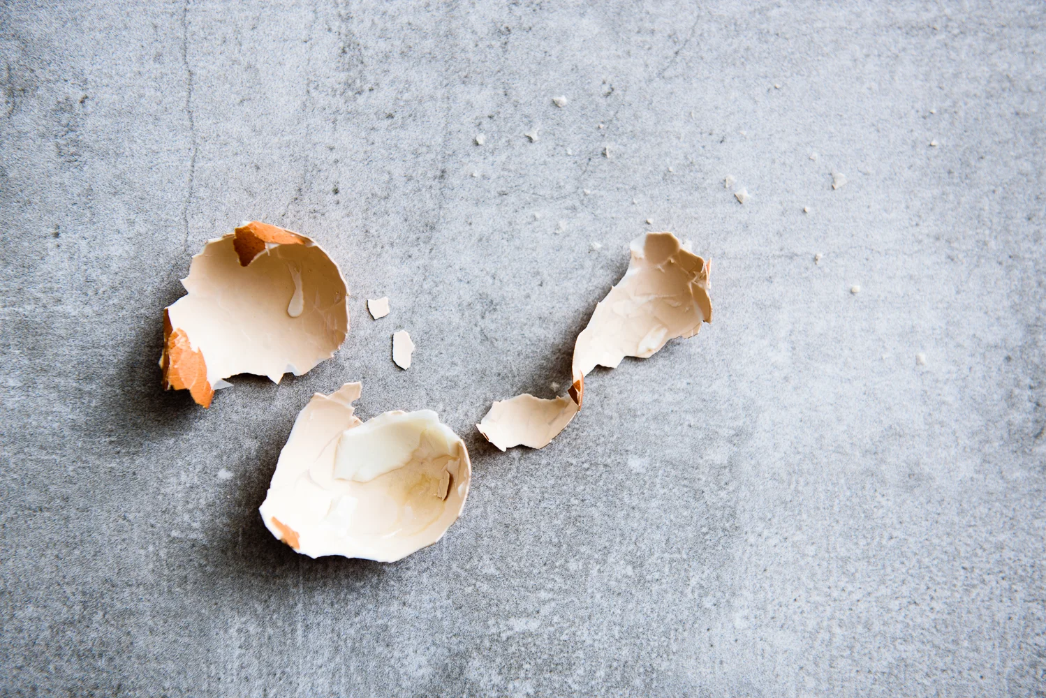 Eggshell Still Life Food Photography Sydney