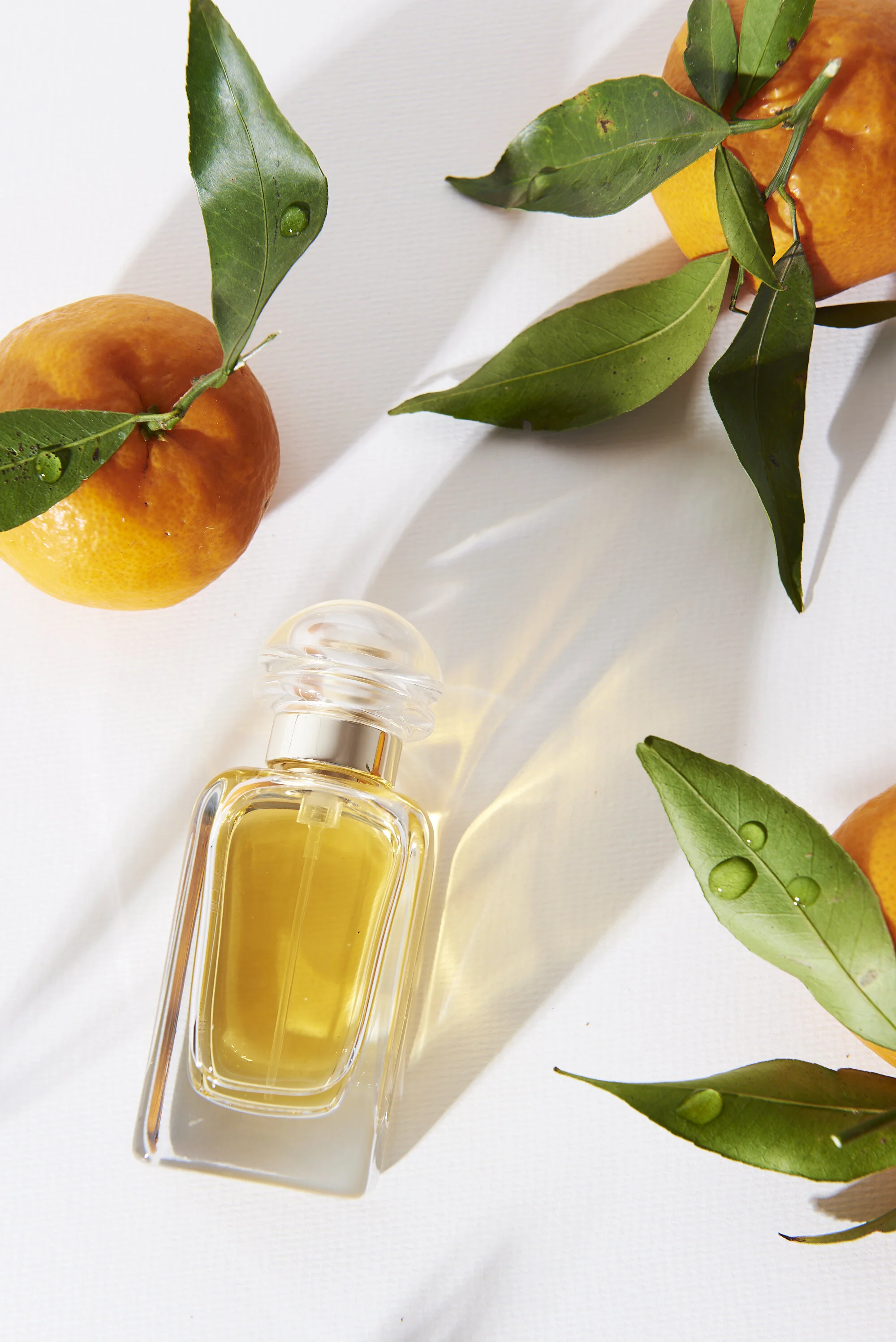 Perfumes Fragrance Citrus Product Photography Sydney