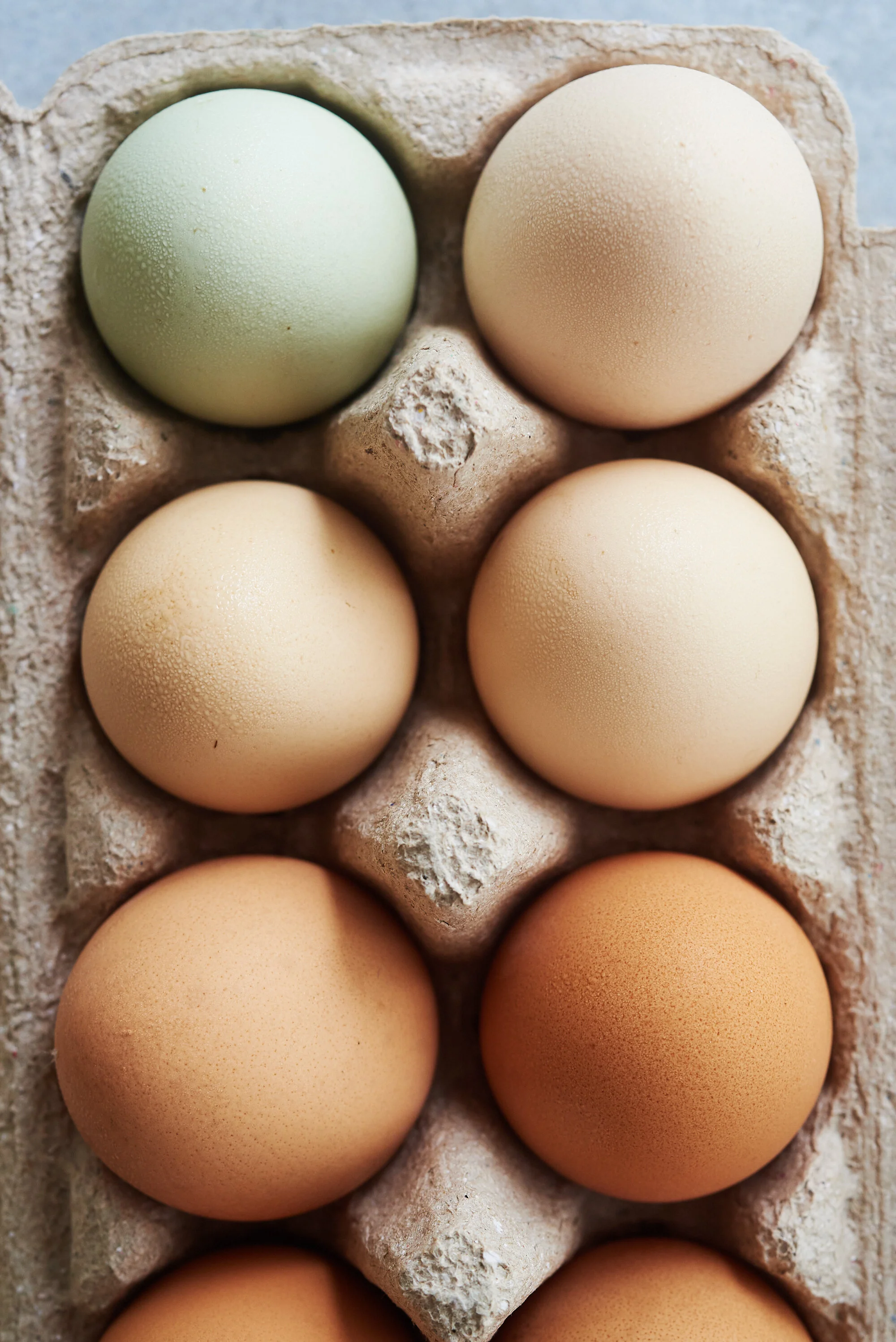 Colourful Eggs Still Life Food Photography Sydney
