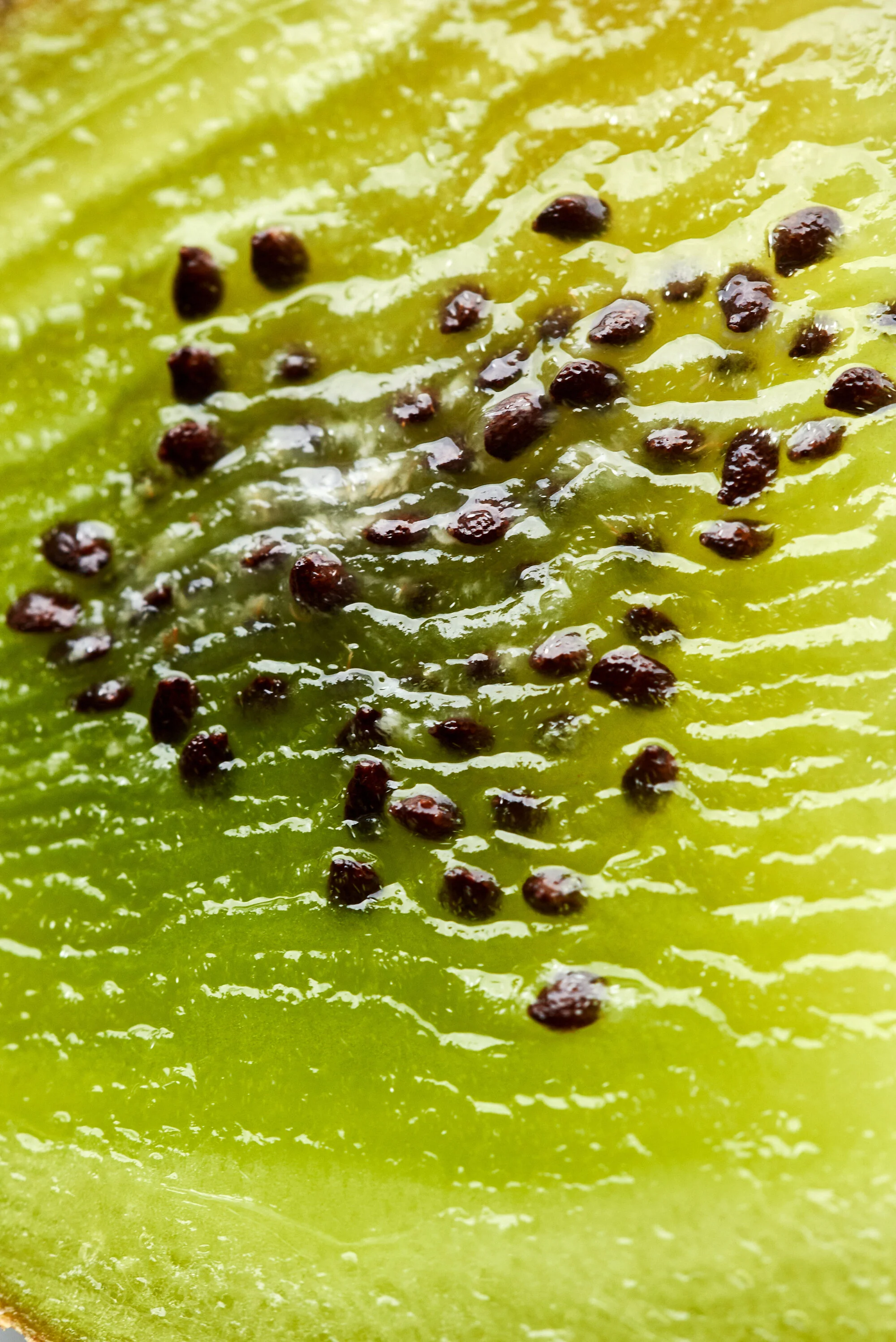 Kiwifruit Closeup Food Macro Photography