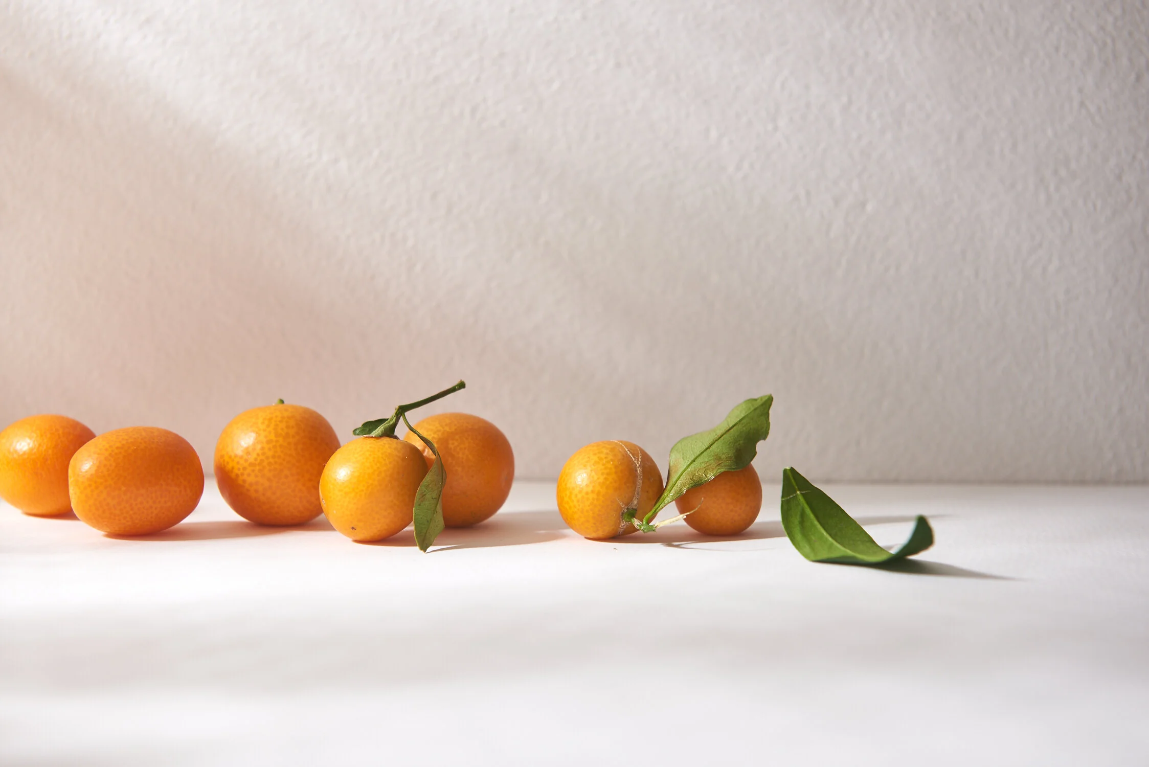 Kumquat Still Life Food Photography
