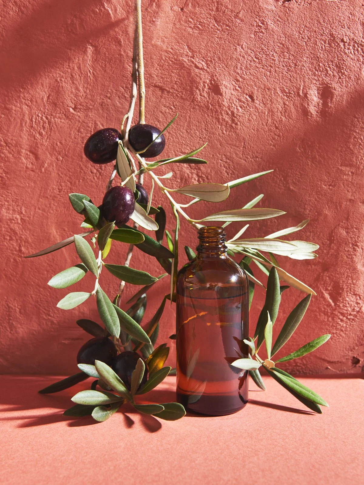 Product photography Sydney Olives oil bottle