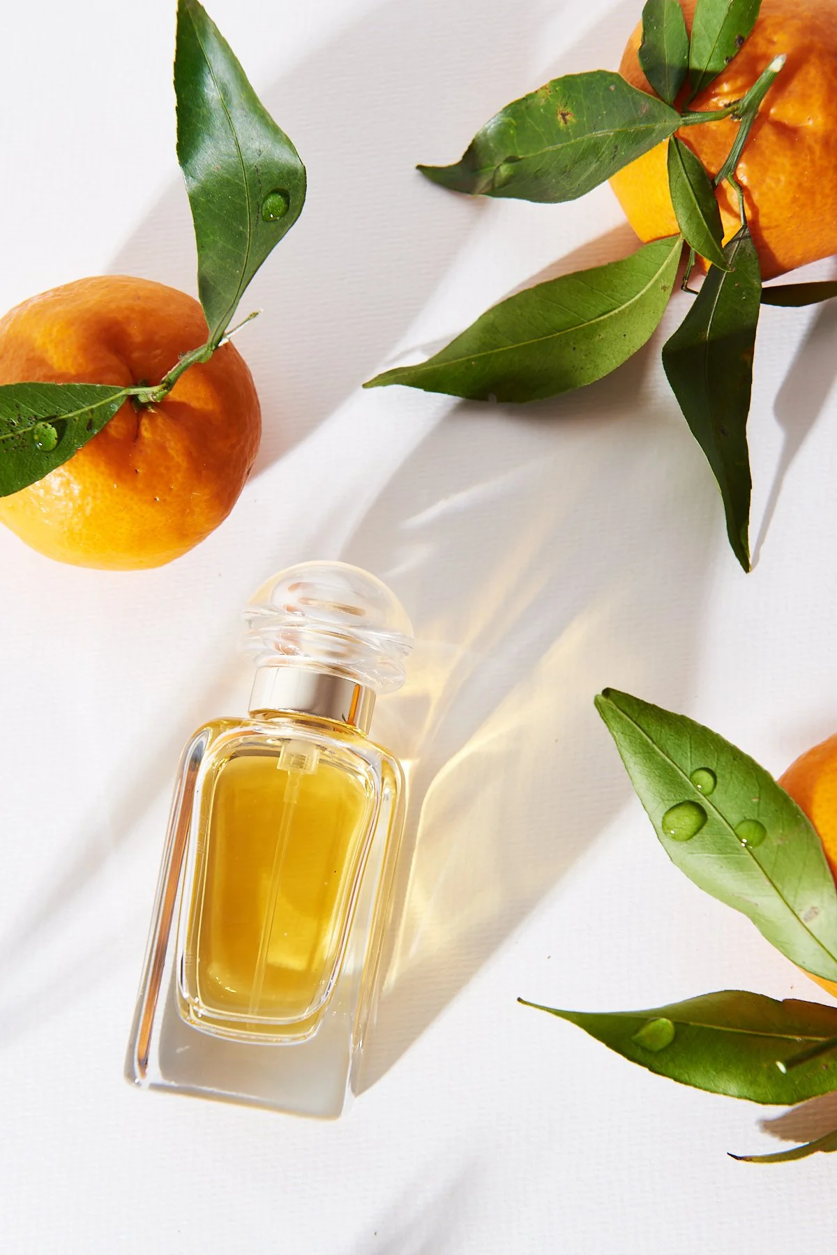 Fragrance Product photography Sydney Viviane Perenyi