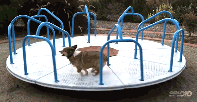 giphy-10.gif