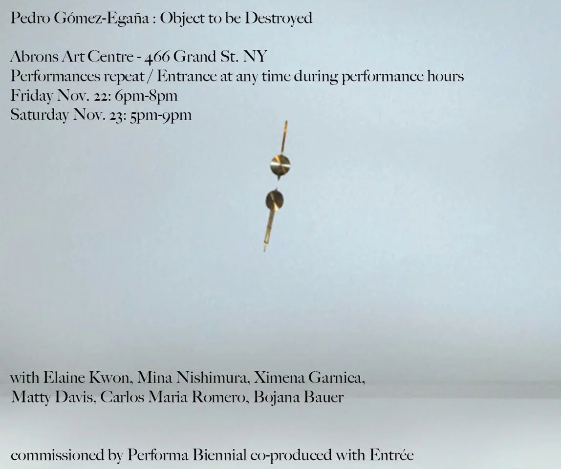 Performa 13 Biennial Event: Pedro Gomez-Egana: "Object To Be Destroyed"