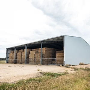 Rural Shed.jpg