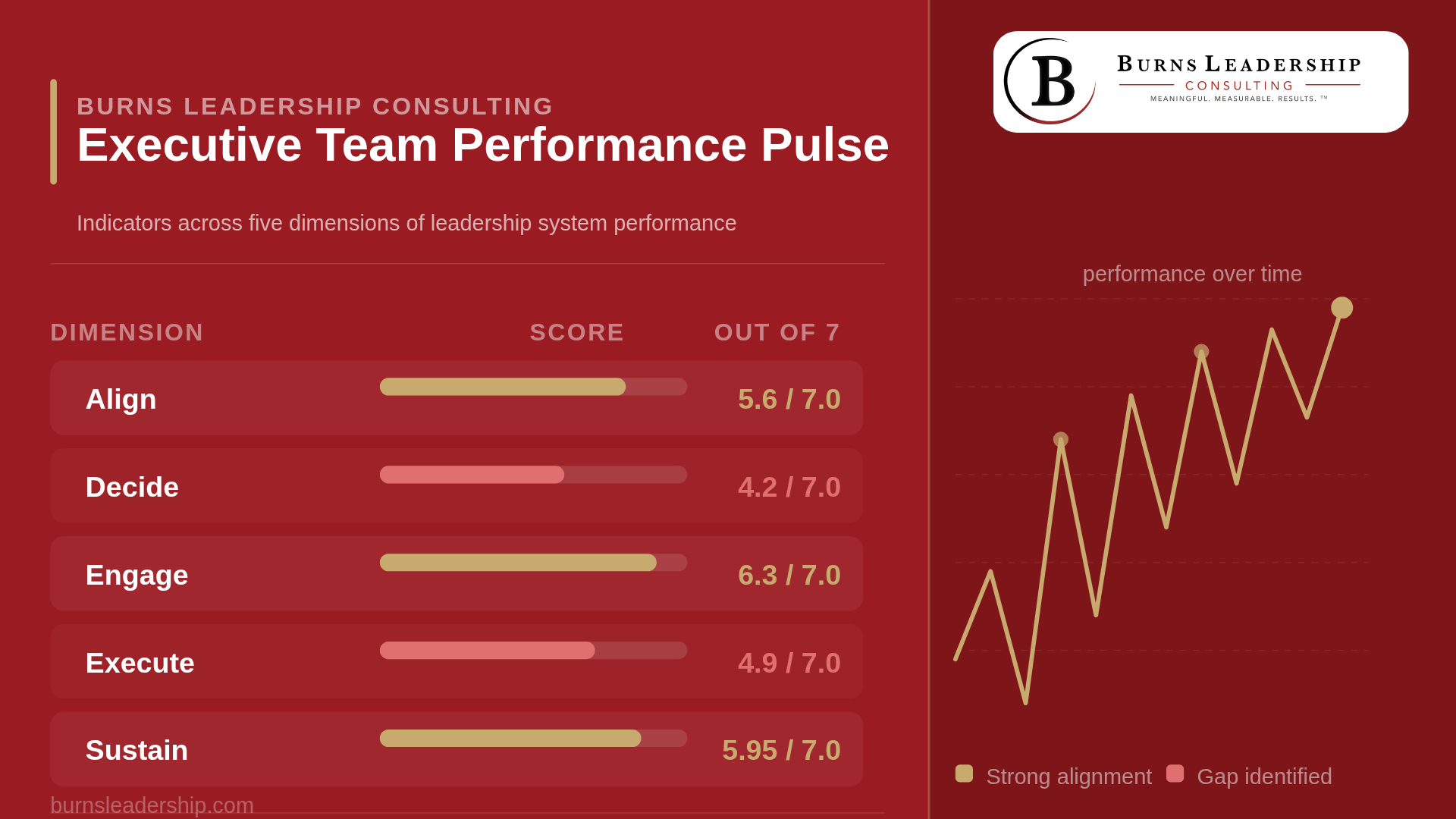 Senior Leadership Team Performance Pulse