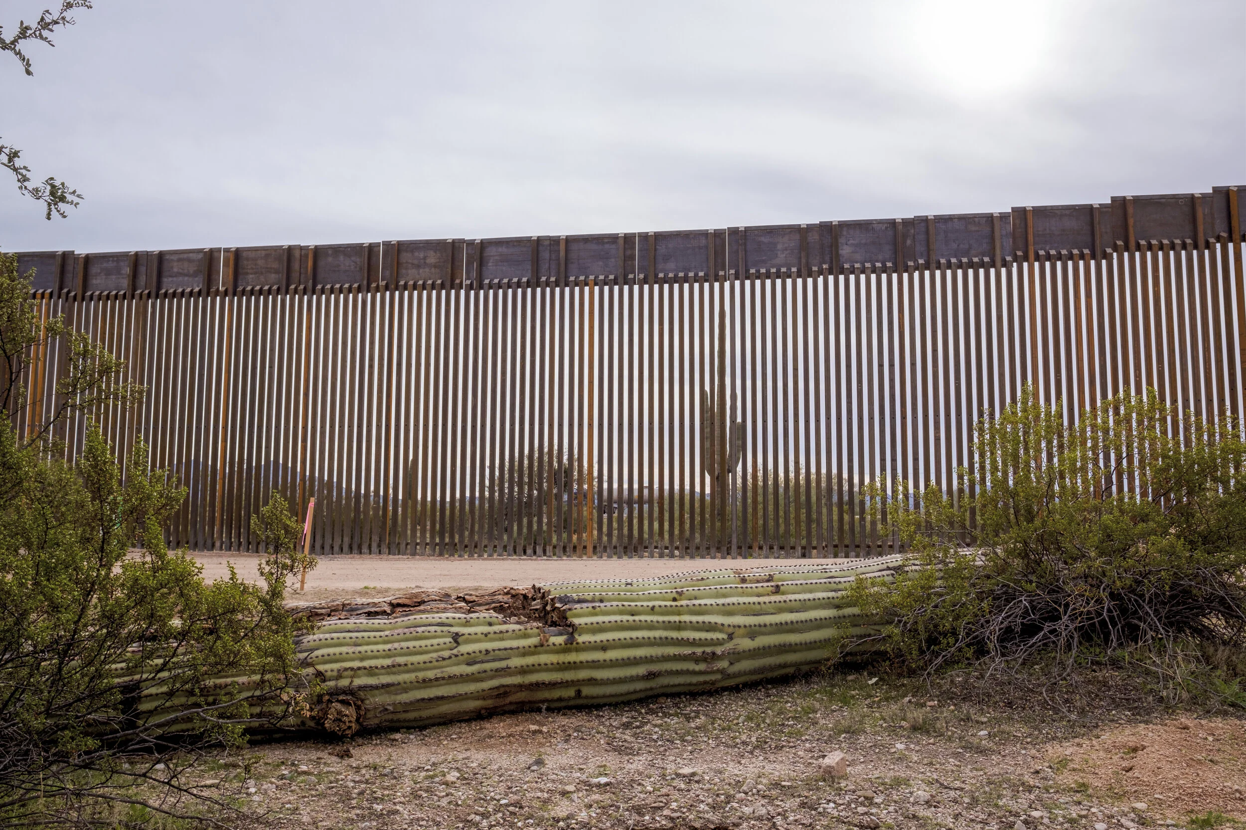 Stapp_Border_Environment_1.jpg