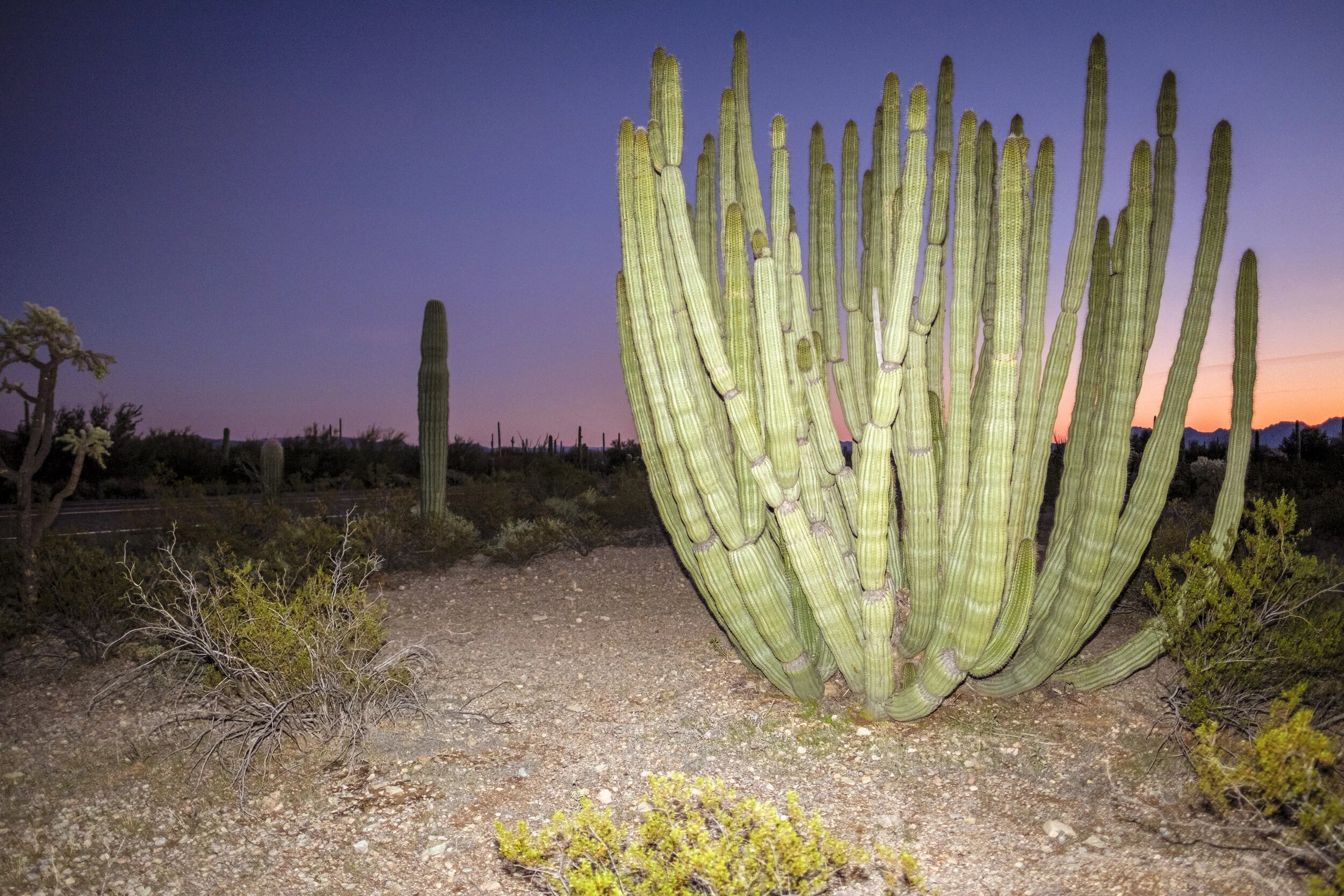 Stapp_Border_Environment_11.jpg