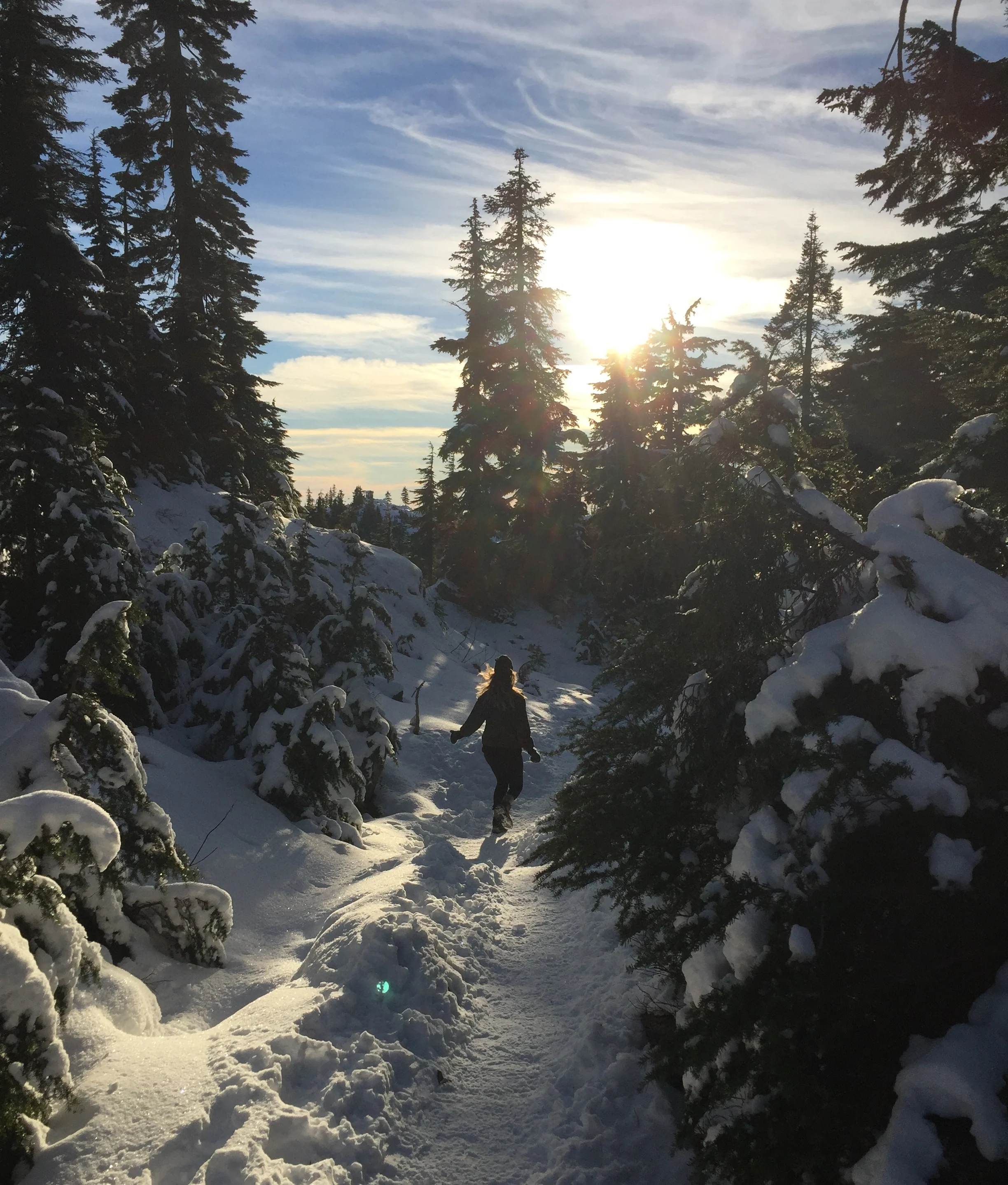 Winter Wonderland On Mt. Seymour