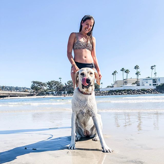 For National Dog Day Stella got to go feel those salty ocean waves run through her hair. She was pleased. 🤙🏼🐾🌊⠀
⠀
#masolasmama #nationaldogday #dogsofinstagram #labsofinstagram #yellowlab #delmar #dogbeach #delmardogbeach