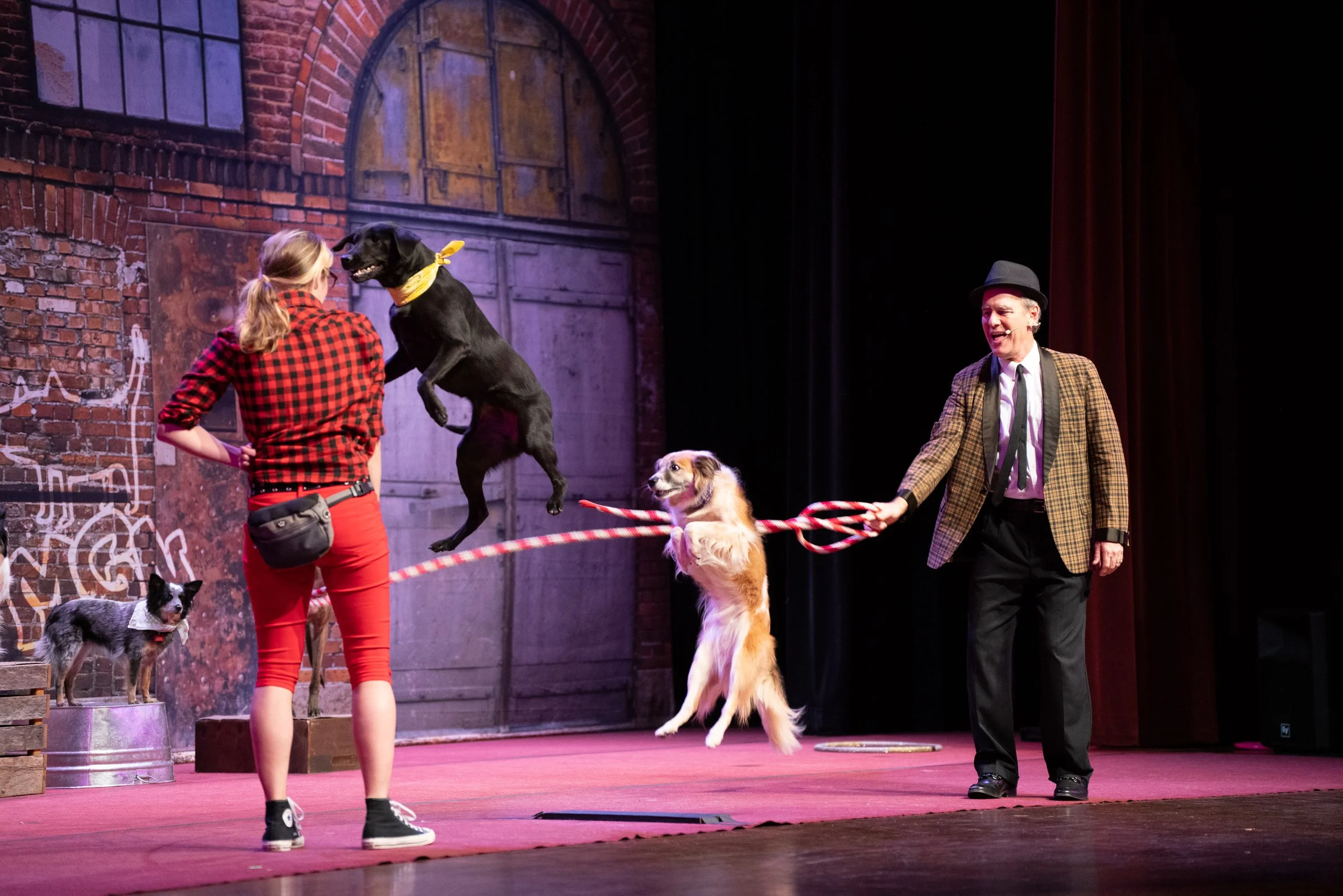 Mutts Gone Nuts -1520.jpg