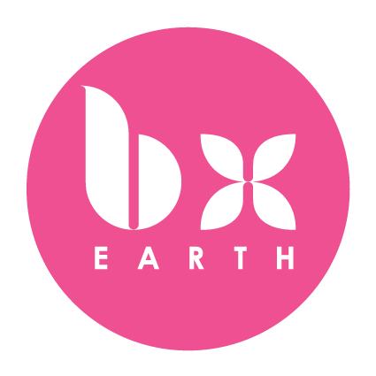 BX Earth