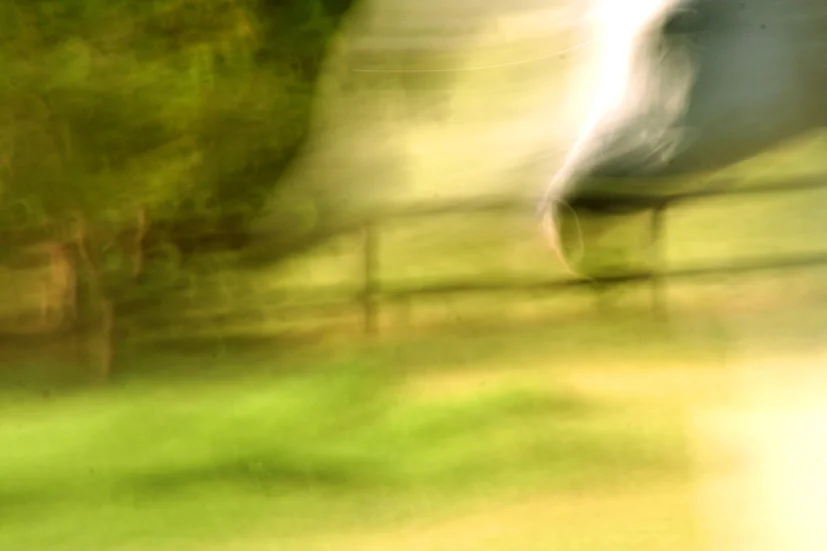 Ghosthorse copy_1.jpg