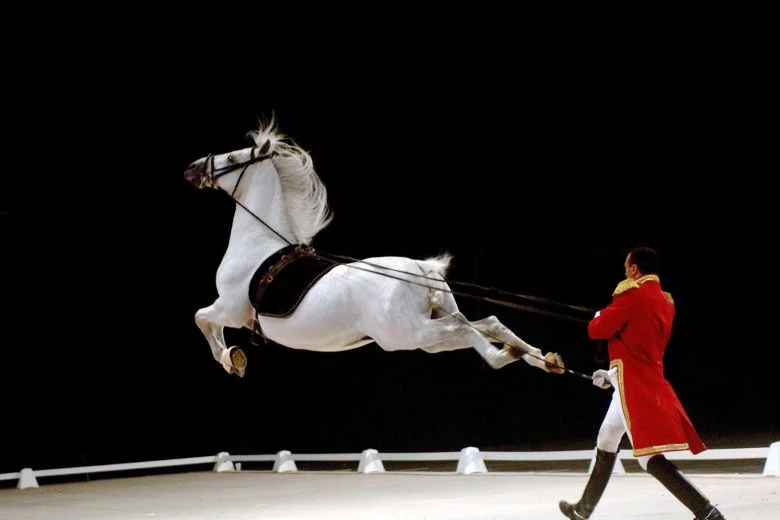 Horses’ tale