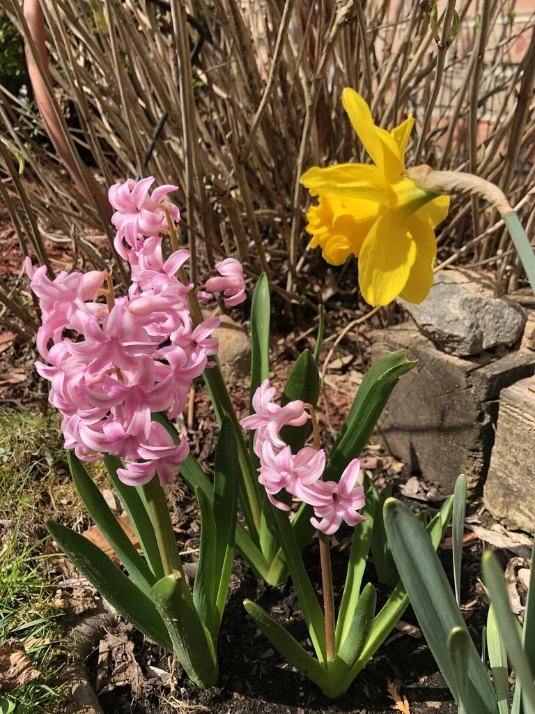 10 Days of Quarantine, or Things I've Learned