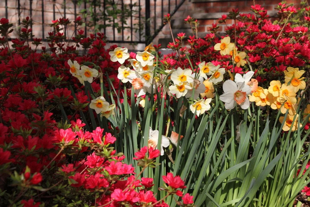 On Anticipation and Surprise (or, An Exercise in Movement)