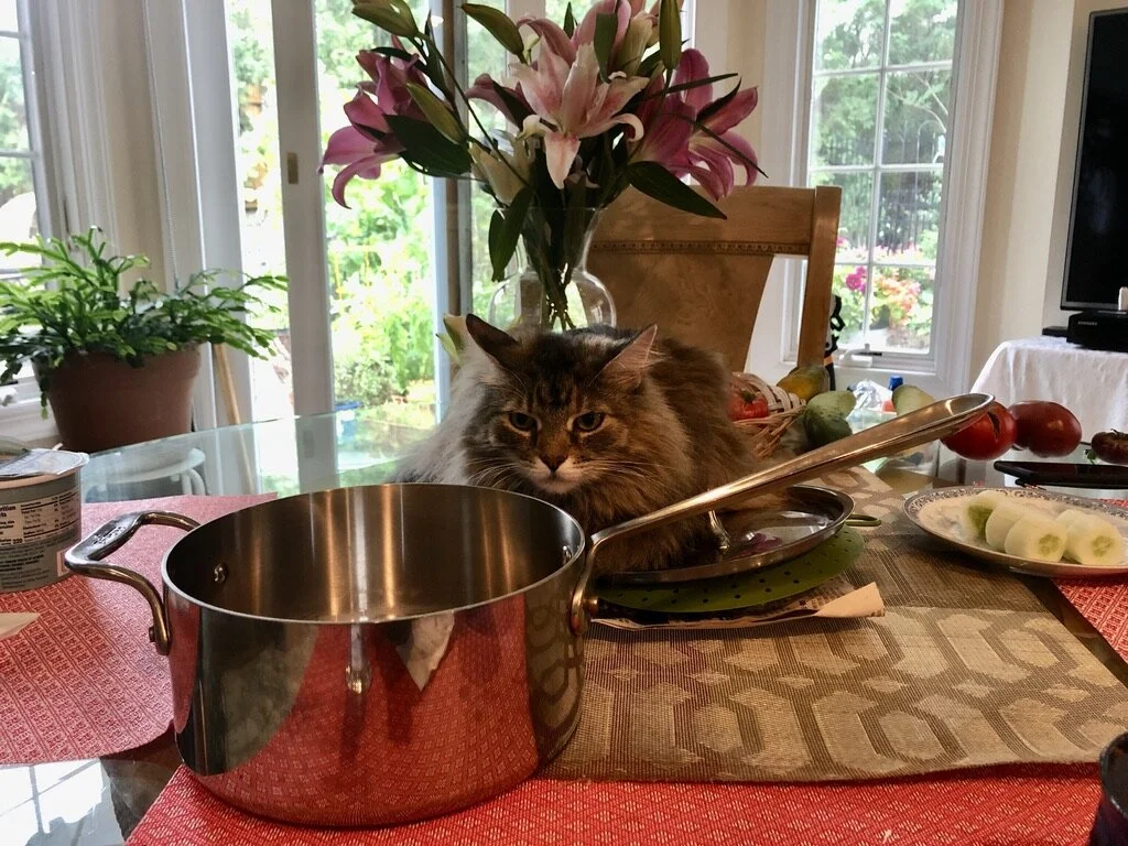 The Perils of “Writer’s Block”, or The Effects of Lead Poisoning