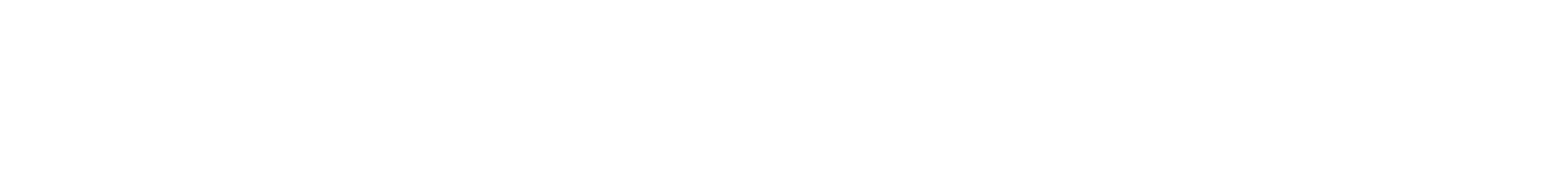 WEB_Secondary Logo_Reverse.png