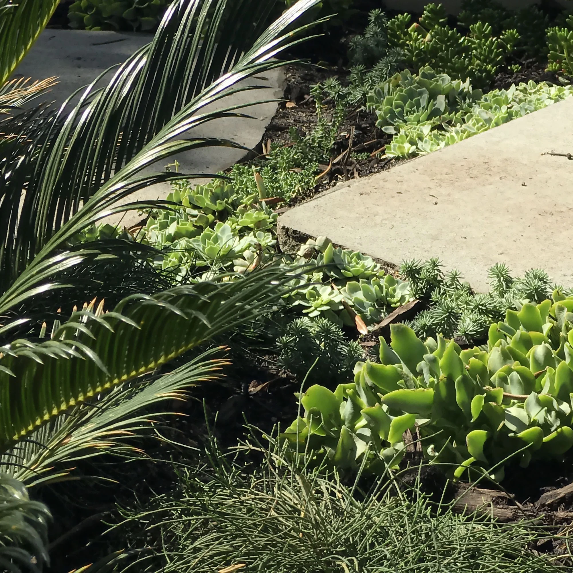 Perth Landscaping Design