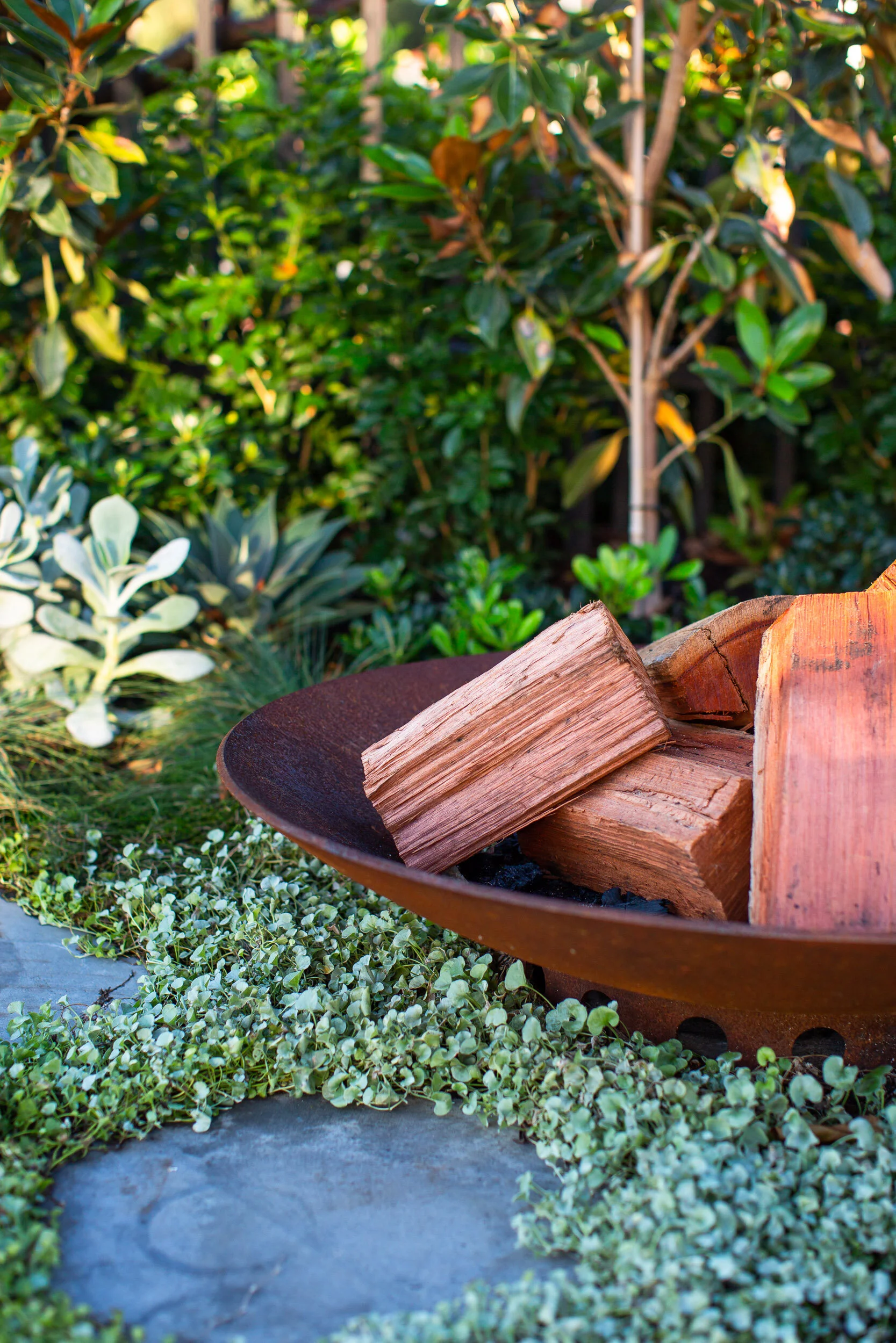 De Vries Shoot Web Size (55).JPG