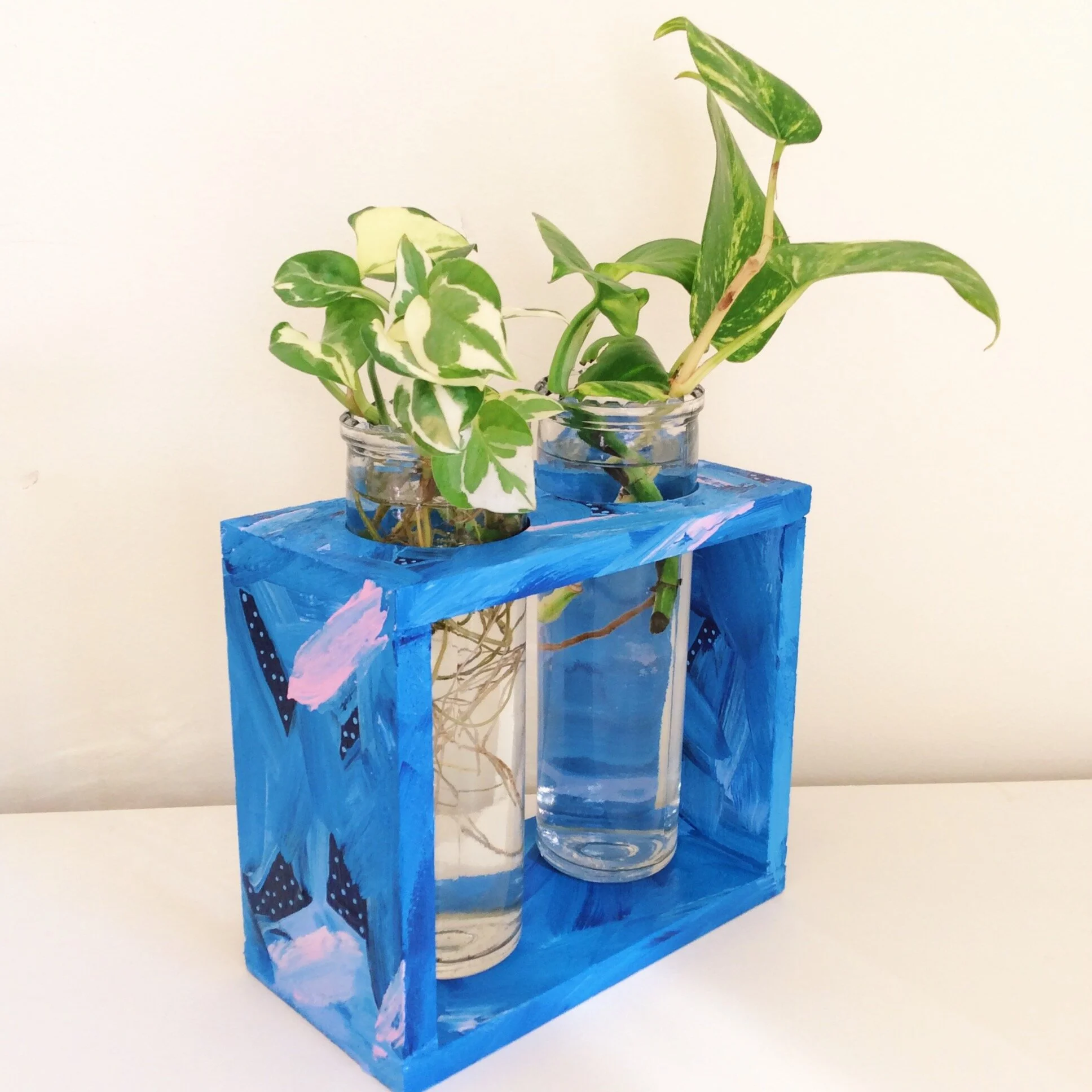 'Out at Sea' Propagation Station - Elle's Balcony Garden