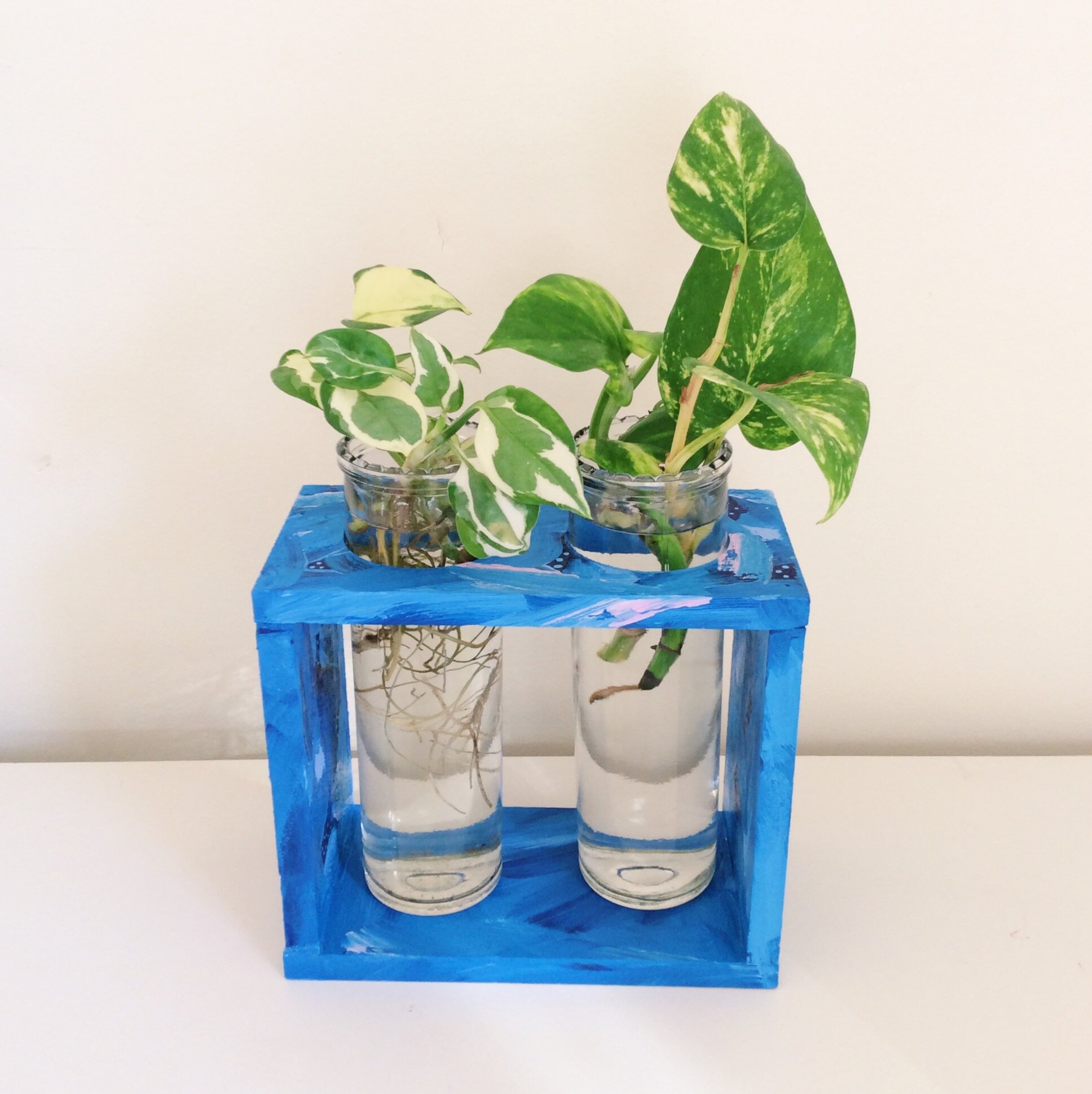 'Out at Sea' Propagation Station - Elle's Balcony Garden