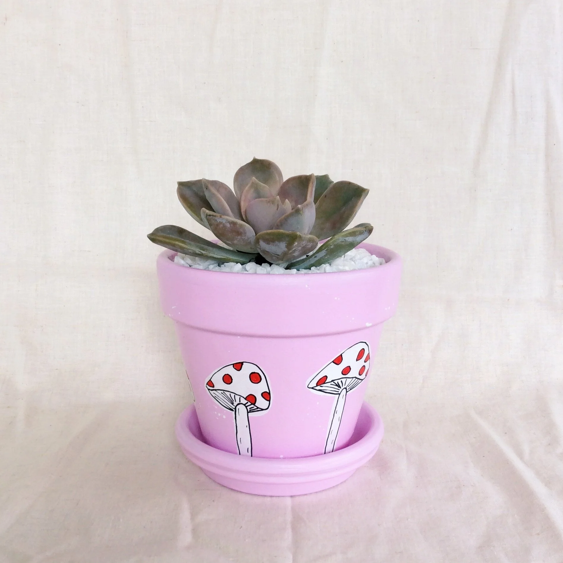 Mushroom Pink Planter - Hand-painted Pot by Elle's Balcony Garden - Hand-made in Brisbane