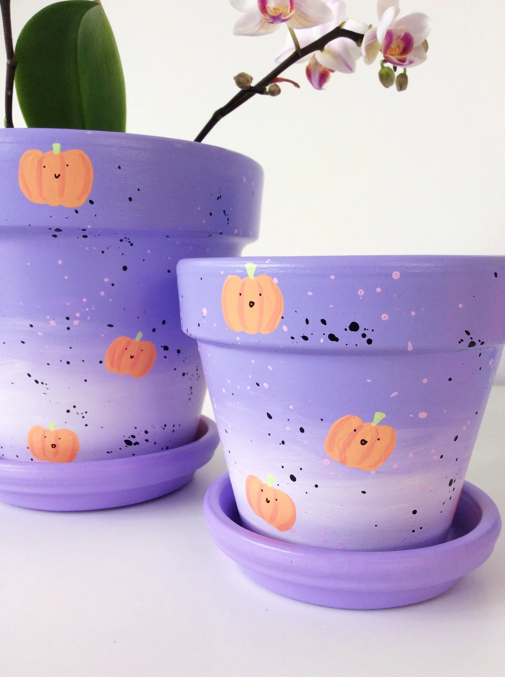 Pumpkin Hand-painted Pot (Limited Edition) - Elle's Balcony Garden, Brisbane Australia