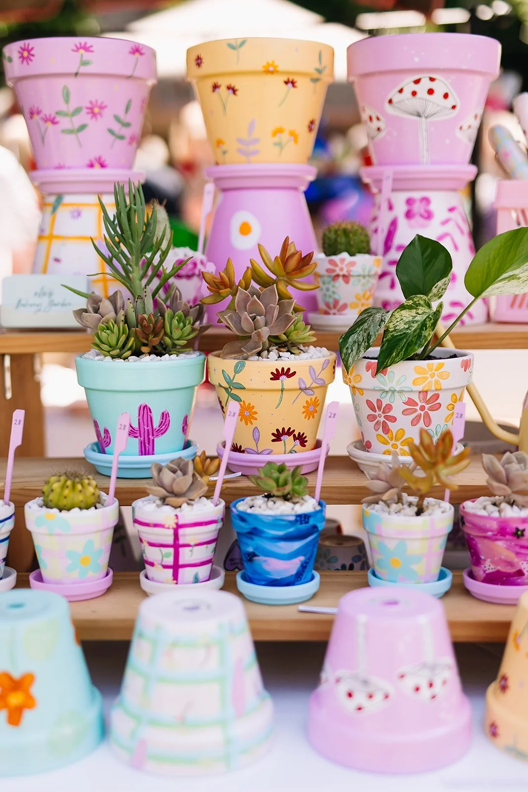 Made Local Market: Stall &amp; DIY Succulent Bar - DAY 1