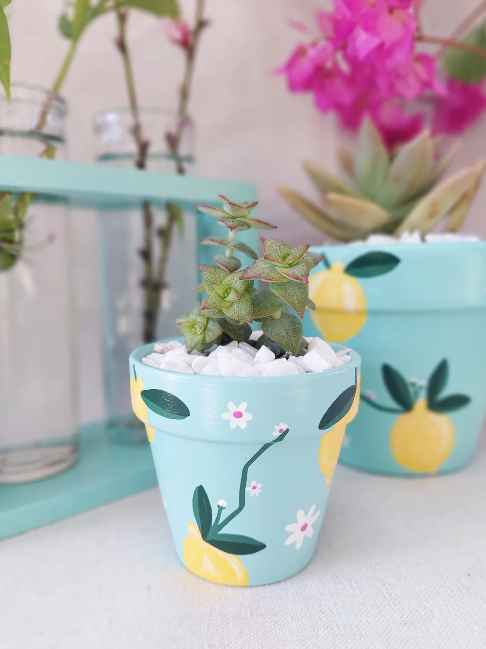 Lemon Fresh Hand-painted Pot  ELLE'S BALCONY GARDEN
