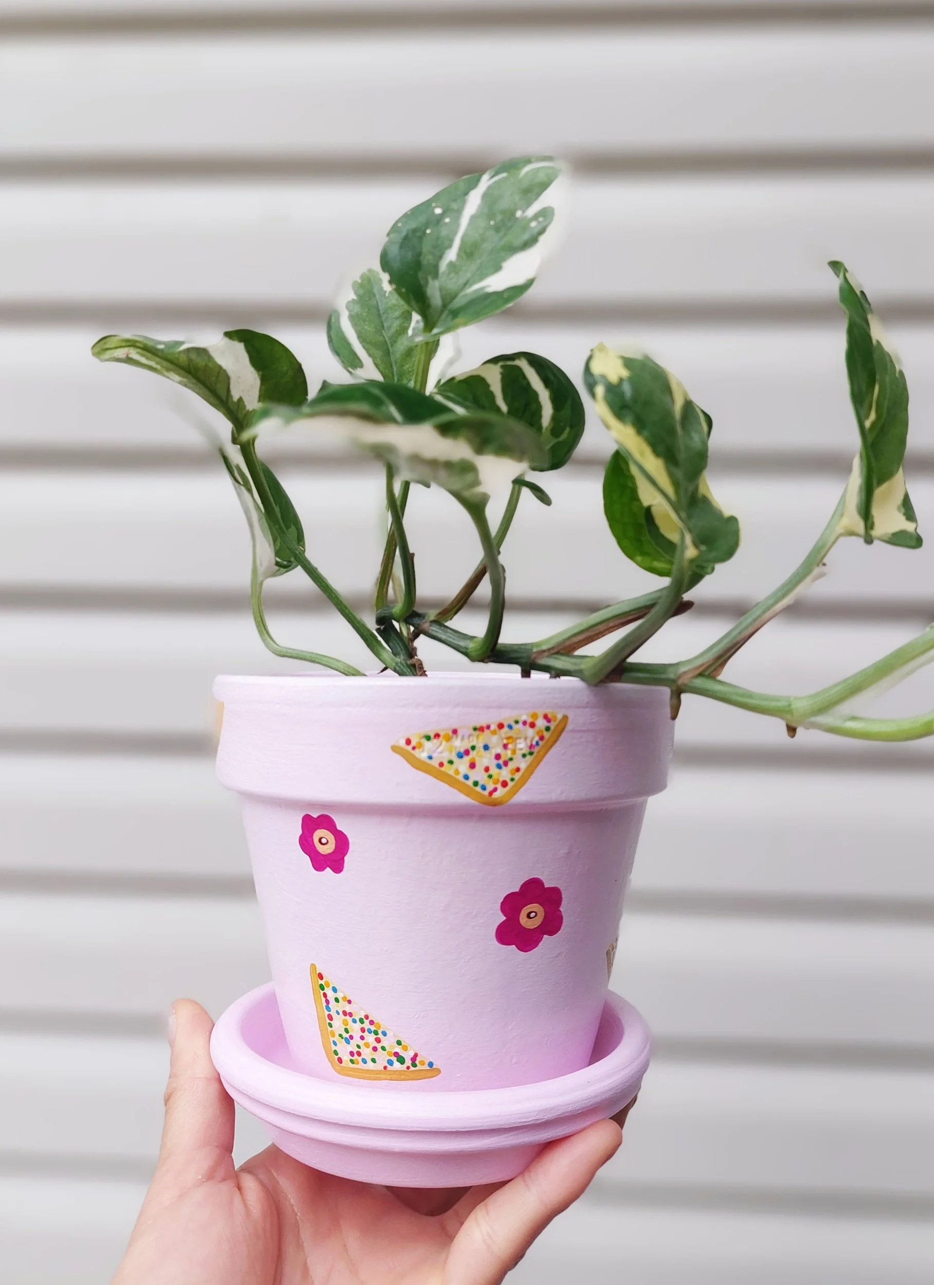 Fairy Bread Hand-painted Pot (Limited Ed. Breast Cancer Awareness Month) by Elle's Balcony Garden in Brisbane Australia