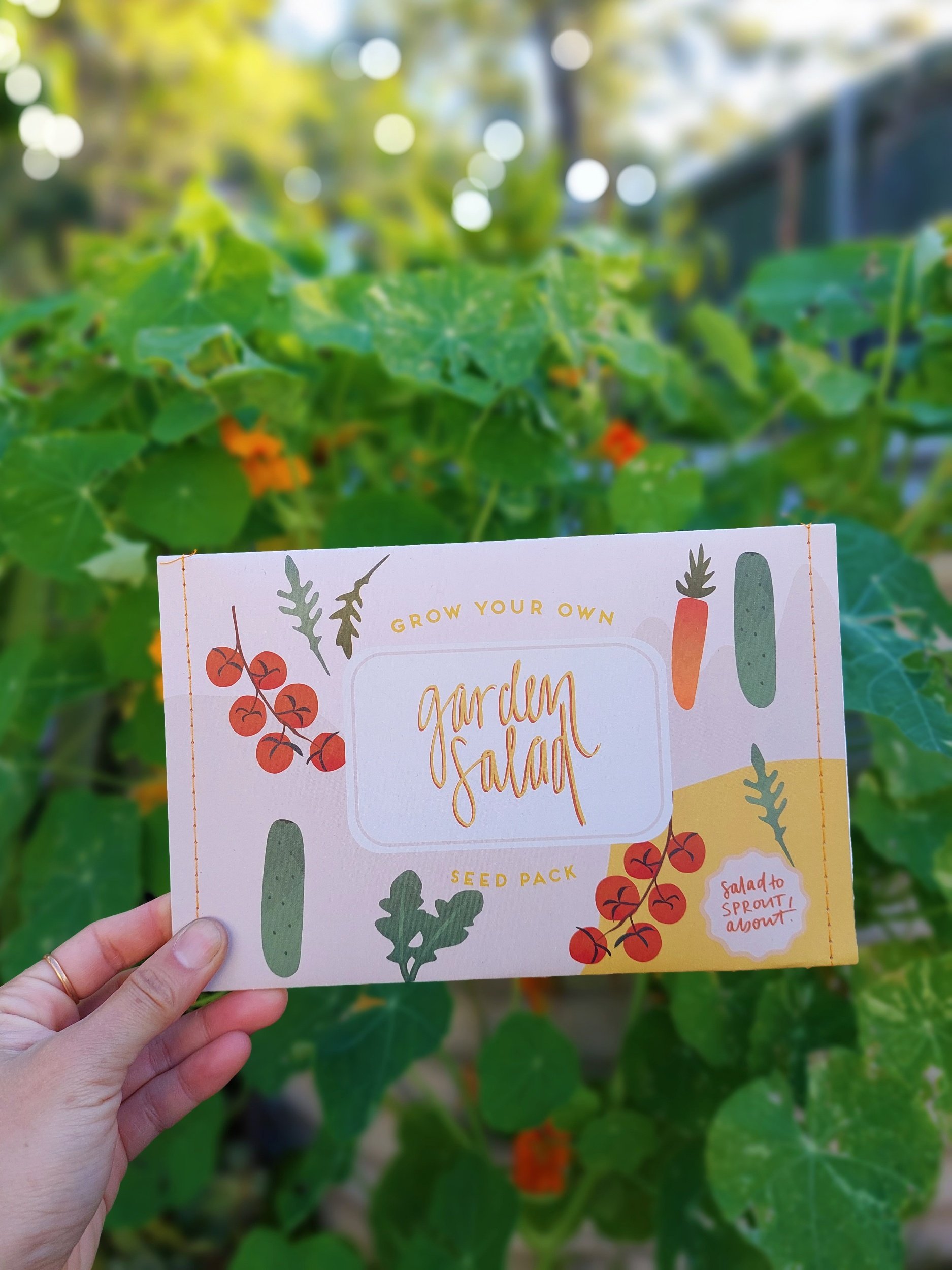Garden Salad Multi Seed Pack - Rosie Lou x Elle's Balcony Garden - Brisbane Australia