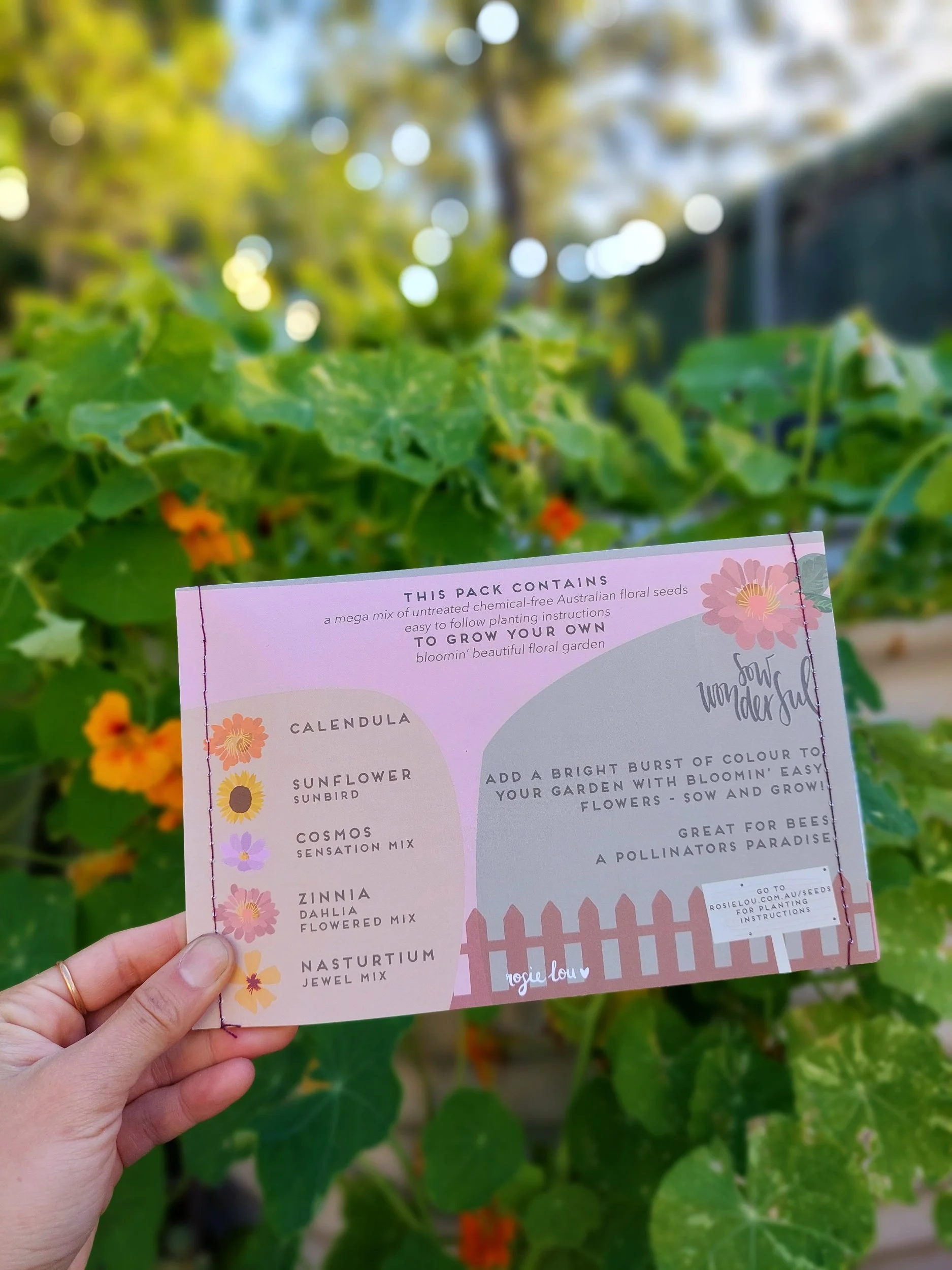 Beautiful Blooms Mega Seed Pack - Rosie Lou x Elle's Balcony Garden - Brisbane Australia
