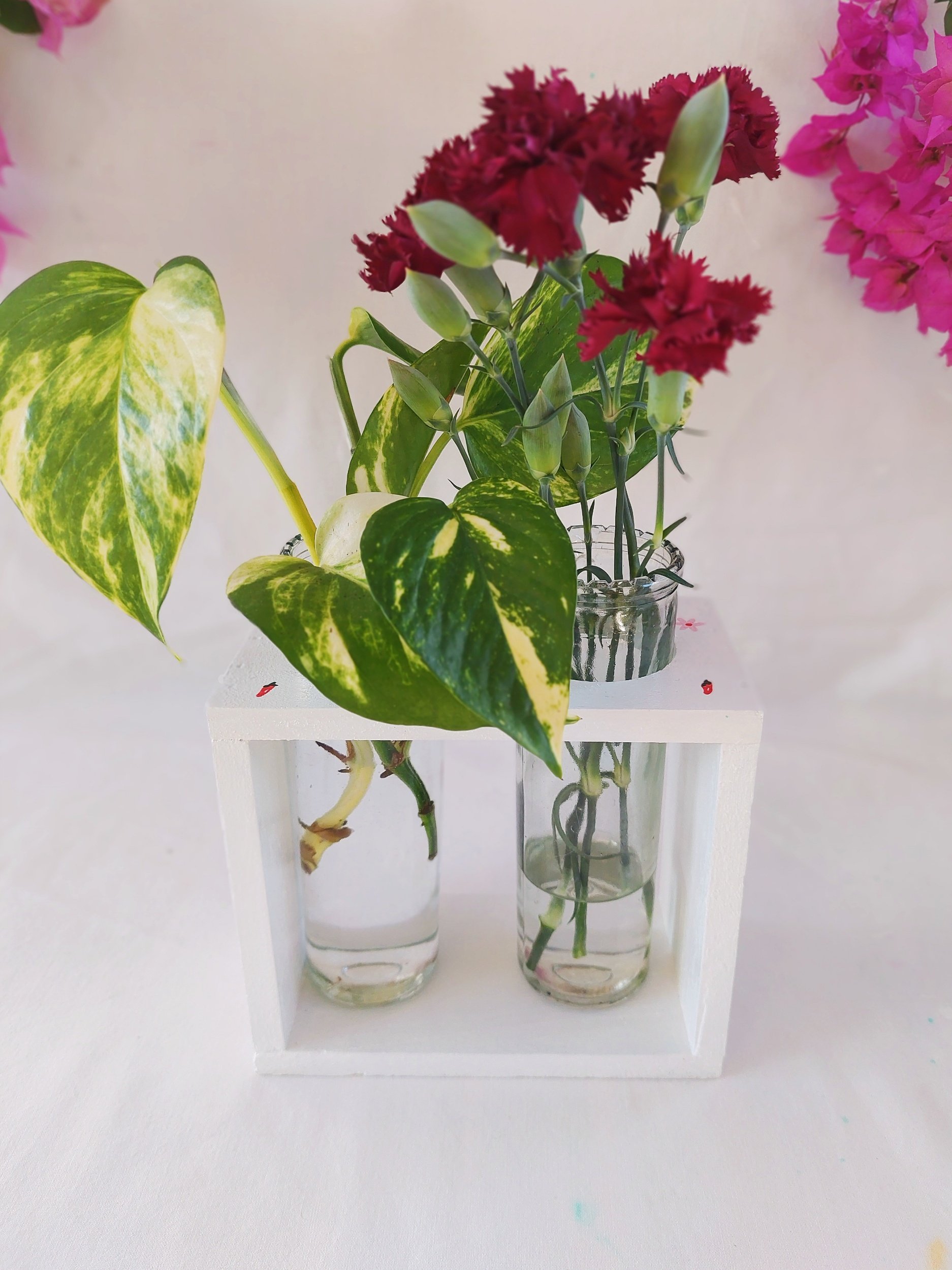 Sweet Chilli Propagation Station - Hand-painted in Brisbane by Elle's Balcony Garden