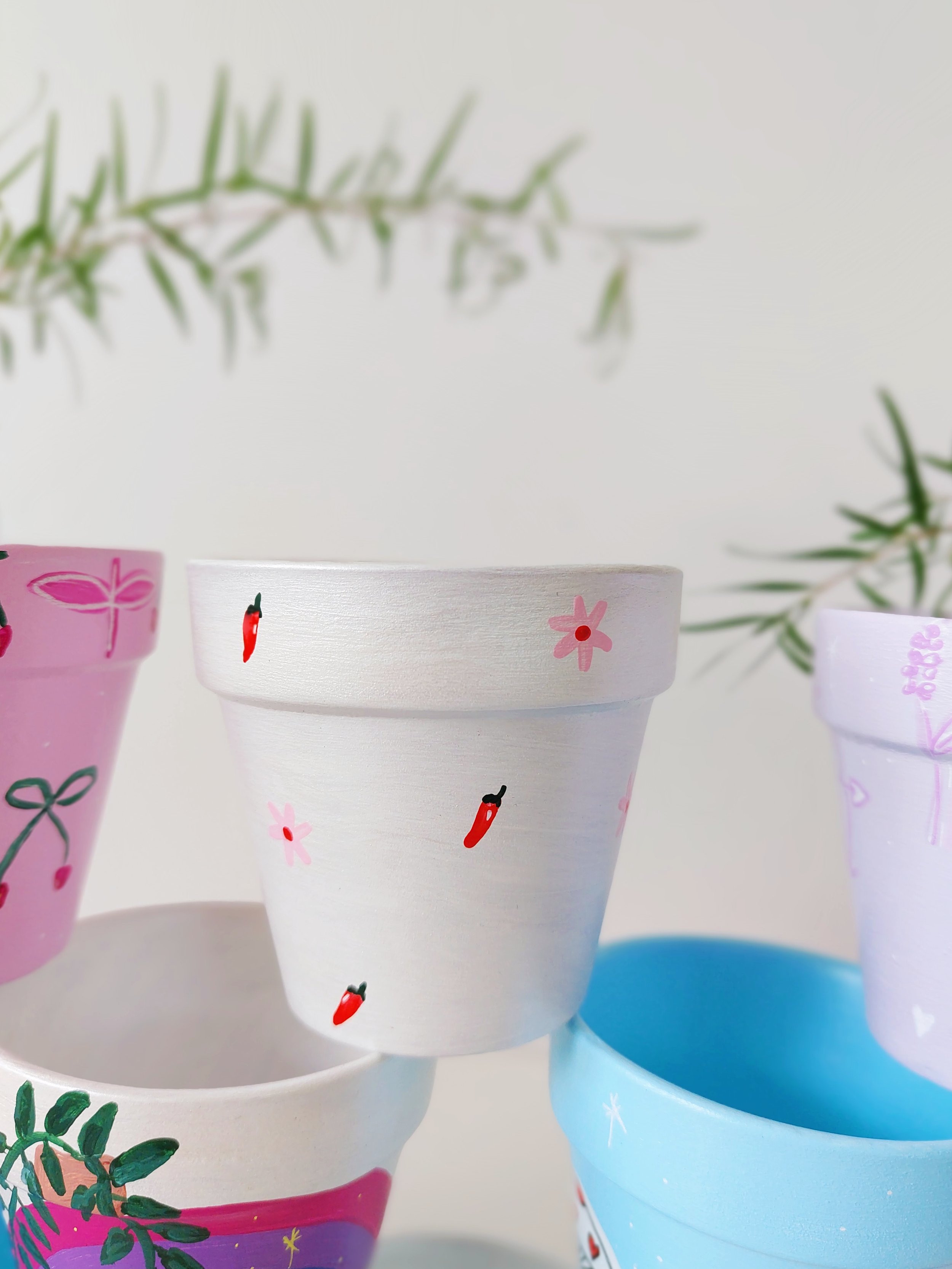 Sweet Chilli Hand-painted pot by Elle's Balcony Garden in Brisbane Australia