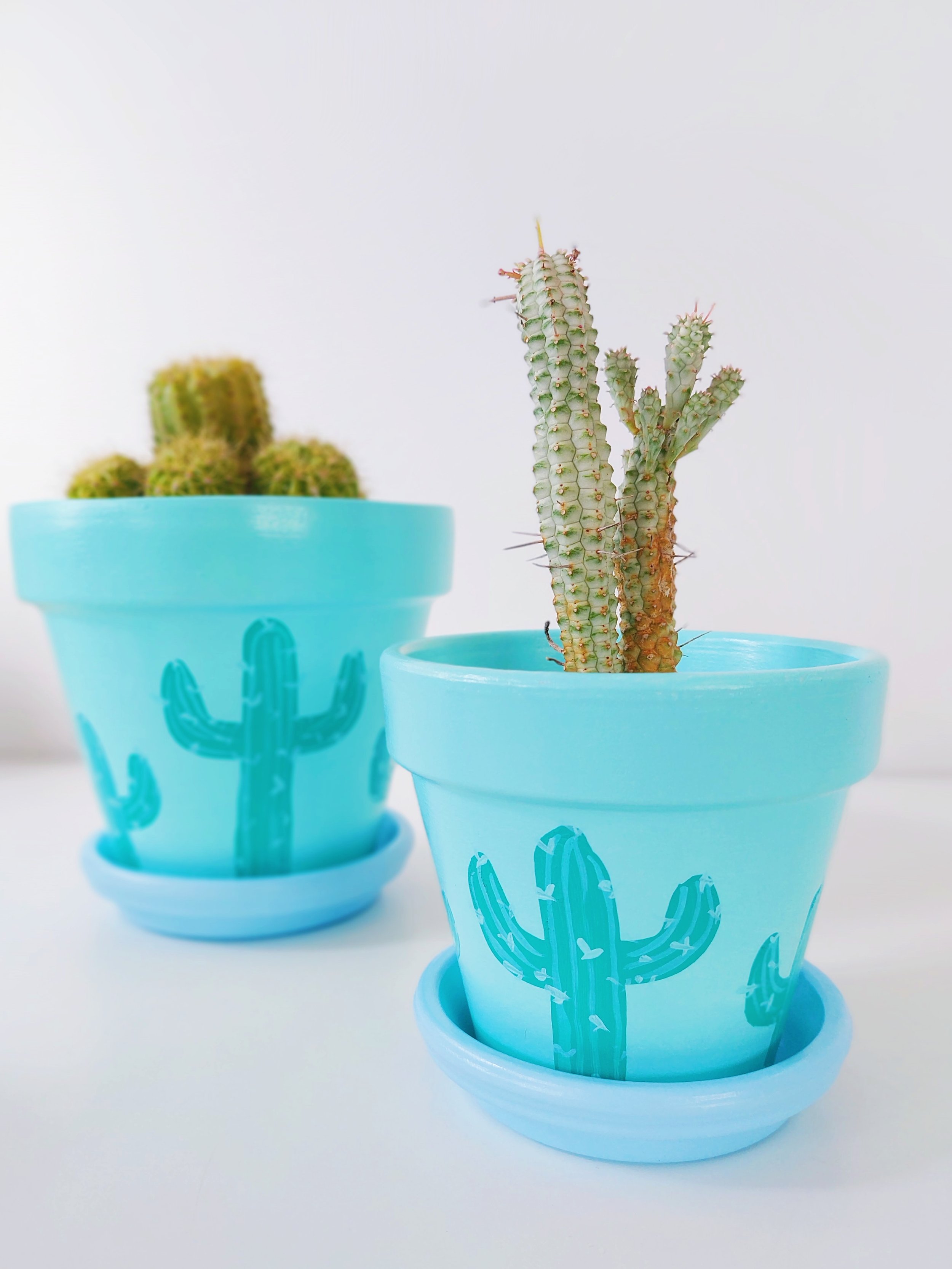 Cactus Print Hand-Painted Pot - Elle's Balcony Garden