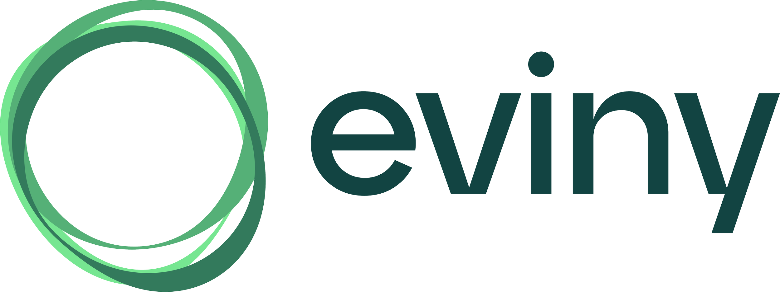 EvinyRGB-Original (1).png